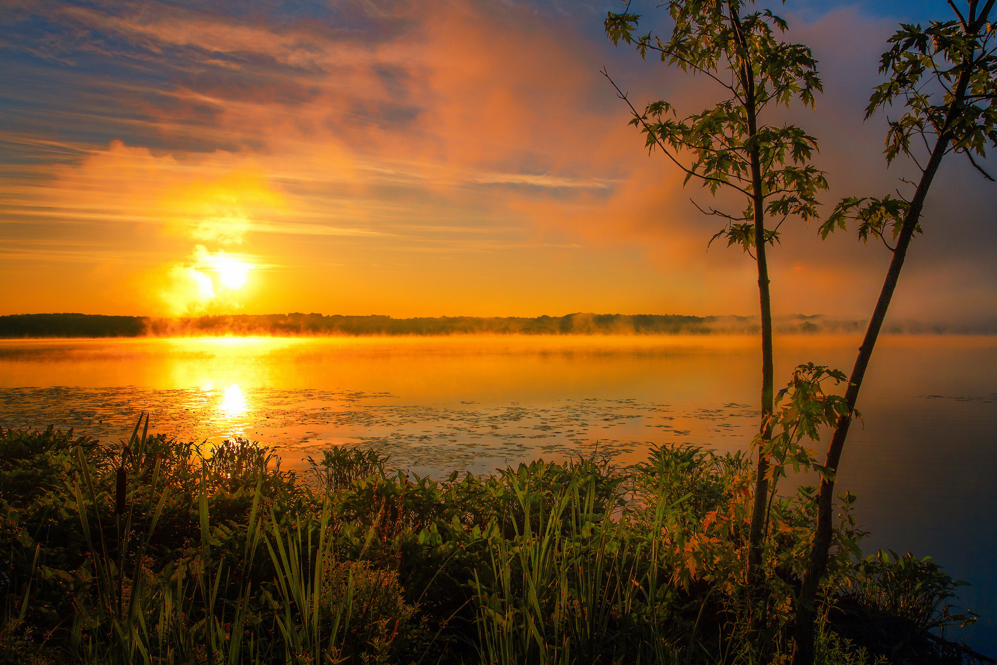 Лето восход закат. Рассвет на озере. Восход на озере. Закат летнего солнца. Солнце рассвет над озером.