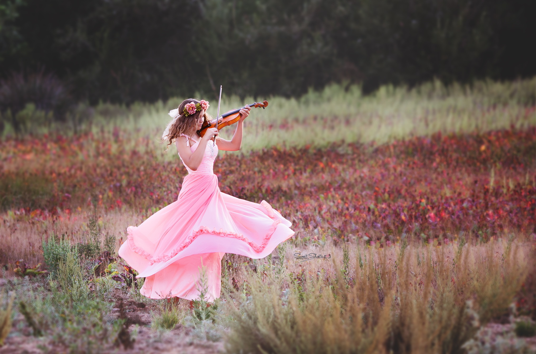 Нежные песни без слов. Девушка кружится в платье. Девушка со скрипкой на природе. Фотосессия со скрипкой. Танцующая девушка со скрипкой.