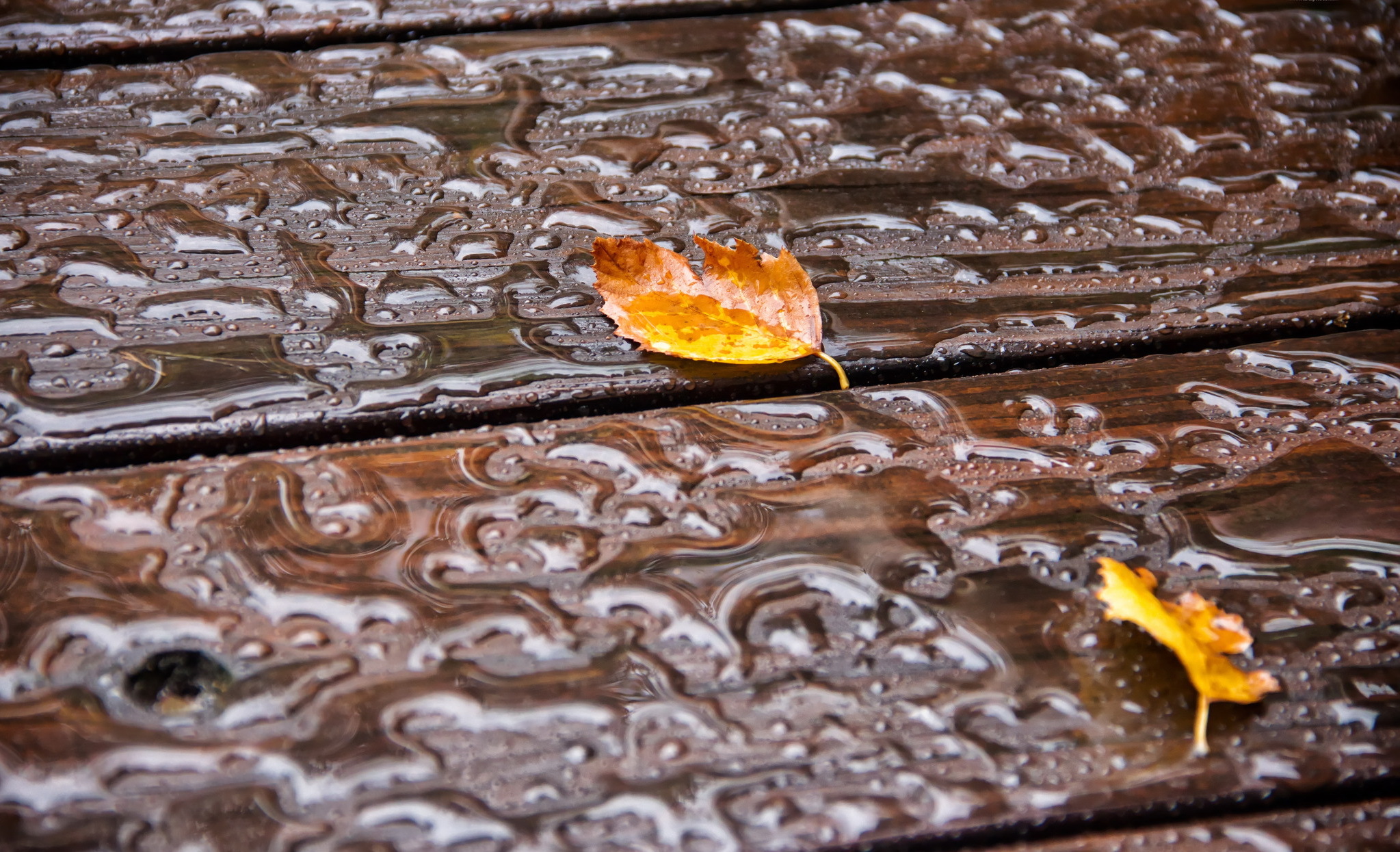 Вода на жирной поверхности. Капли на древесине. Осенний дождь. Капли воды на древесине. Мокрое дерево.
