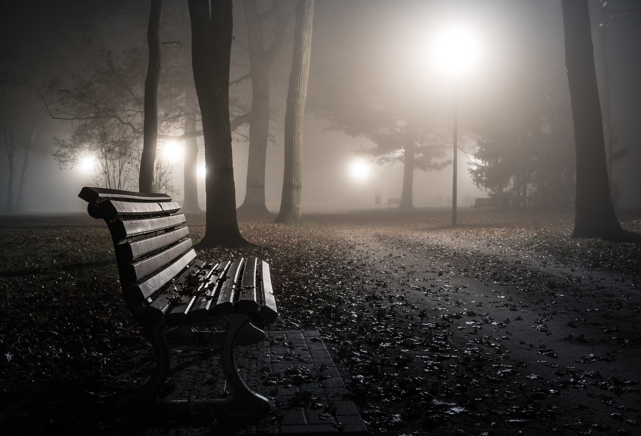скамейка в ночном парке