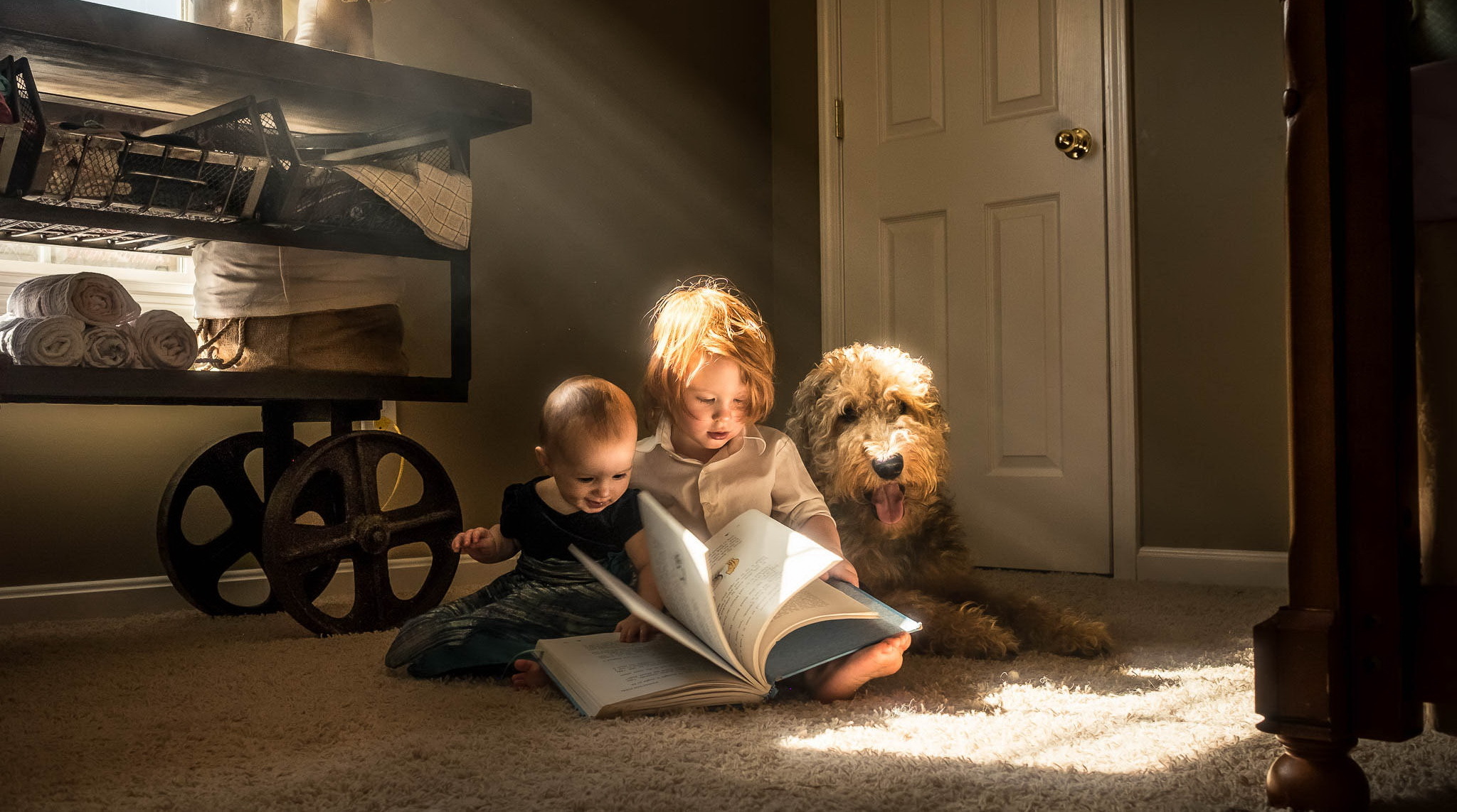 Дети читают собаке. Эдриан Мюррей фотограф. Adrian c Murray фотограф. Эдриан Соммелинг.