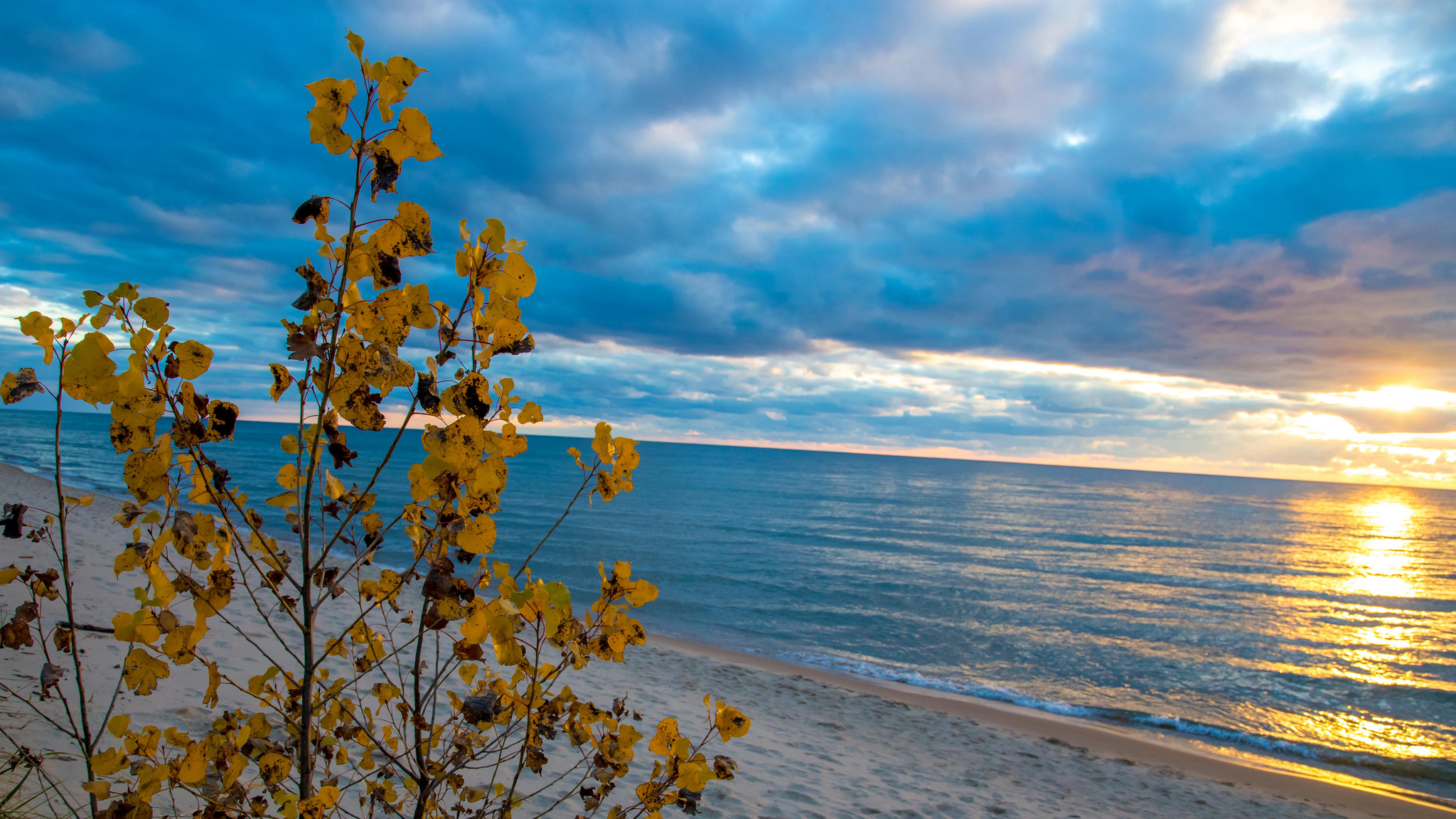 Черное море осенью. Осеннее море. Осень на море. Море осенью. Деревья на море осенью.