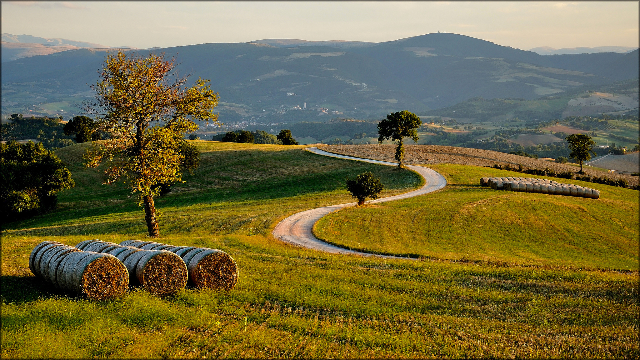 Route field. Тоскана Италия. Холмы стога сена Тоскана. Италия Тоскана лето. Тоскана Италия сено.