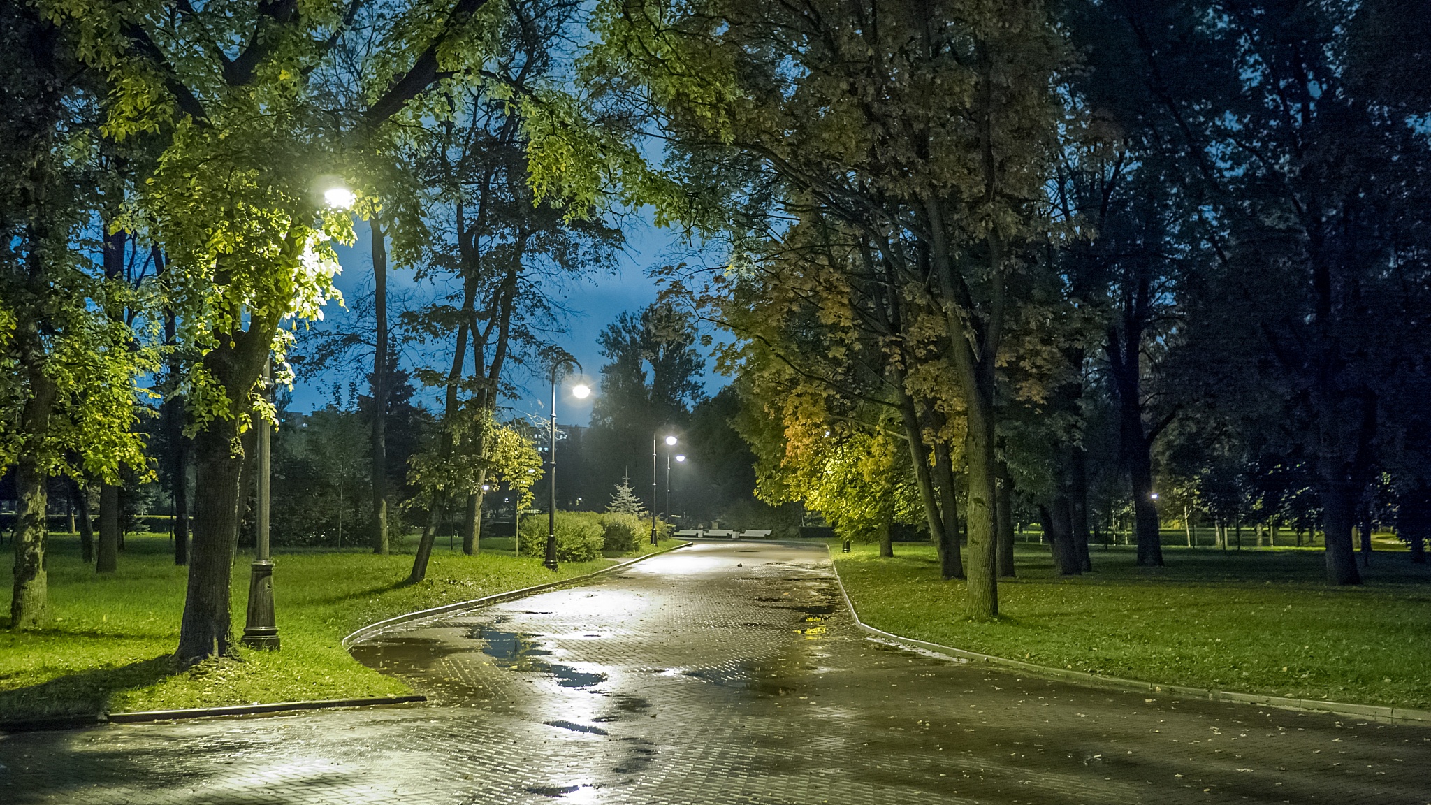 Проект лето в городе