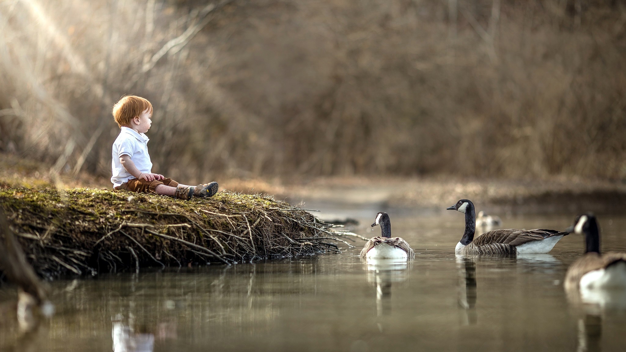 Мальчик на берегу озера. Дети на озере. Фотосессия с утятами. Гуси и мальчик. Мальчики на пруду.