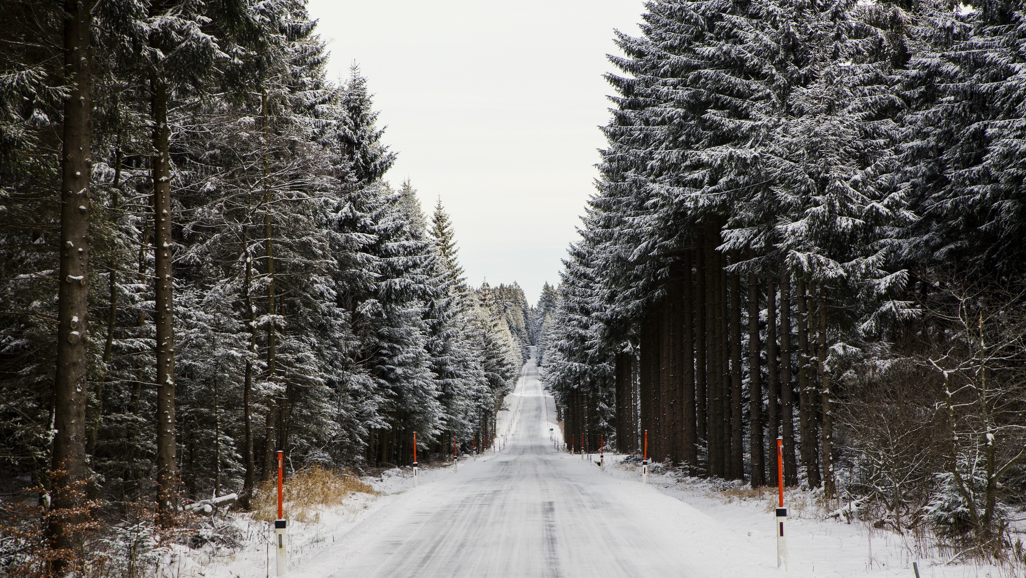 Дорога без снега. Зимняя дорога. Зимняя дорога в лесу. Дорога в зиму сосны. Зимний лес вдоль дороги.