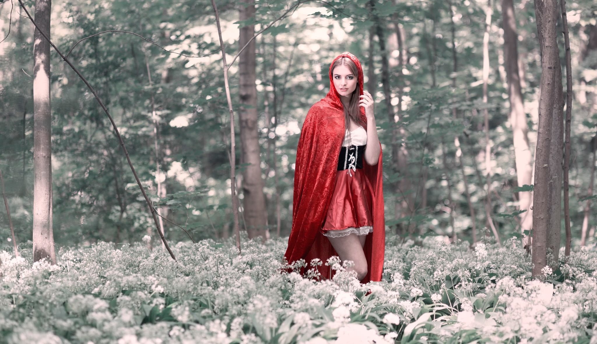 Обои лес, красная шапочка, Red Riding Hood, Cosplay на телефон и рабочий  стол, раздел девушки, разрешение 2048x1180 - скачать