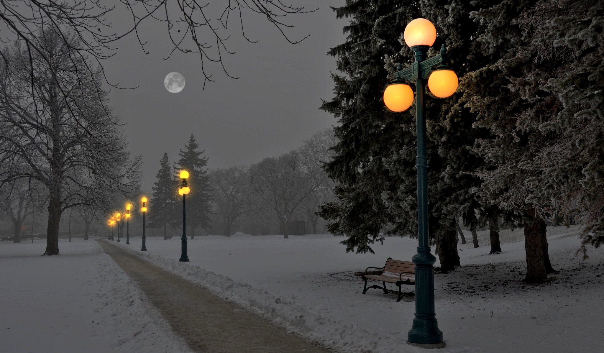 зимний парк ночью