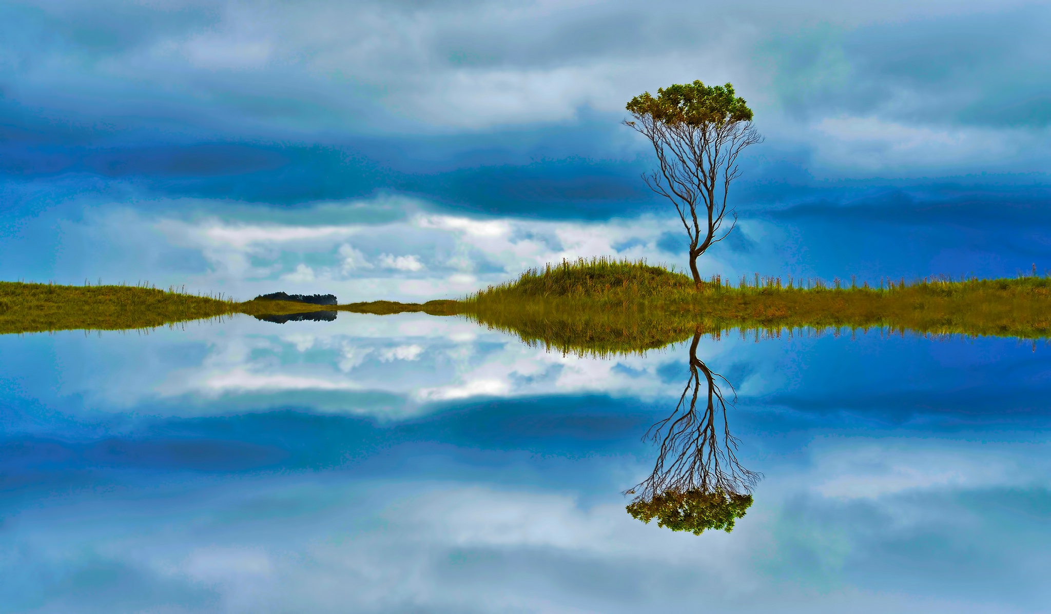 Water trees. Отражение деревьев в воде. Дерево отражение. Деревья отражаются в воде. Вода небо дерево.