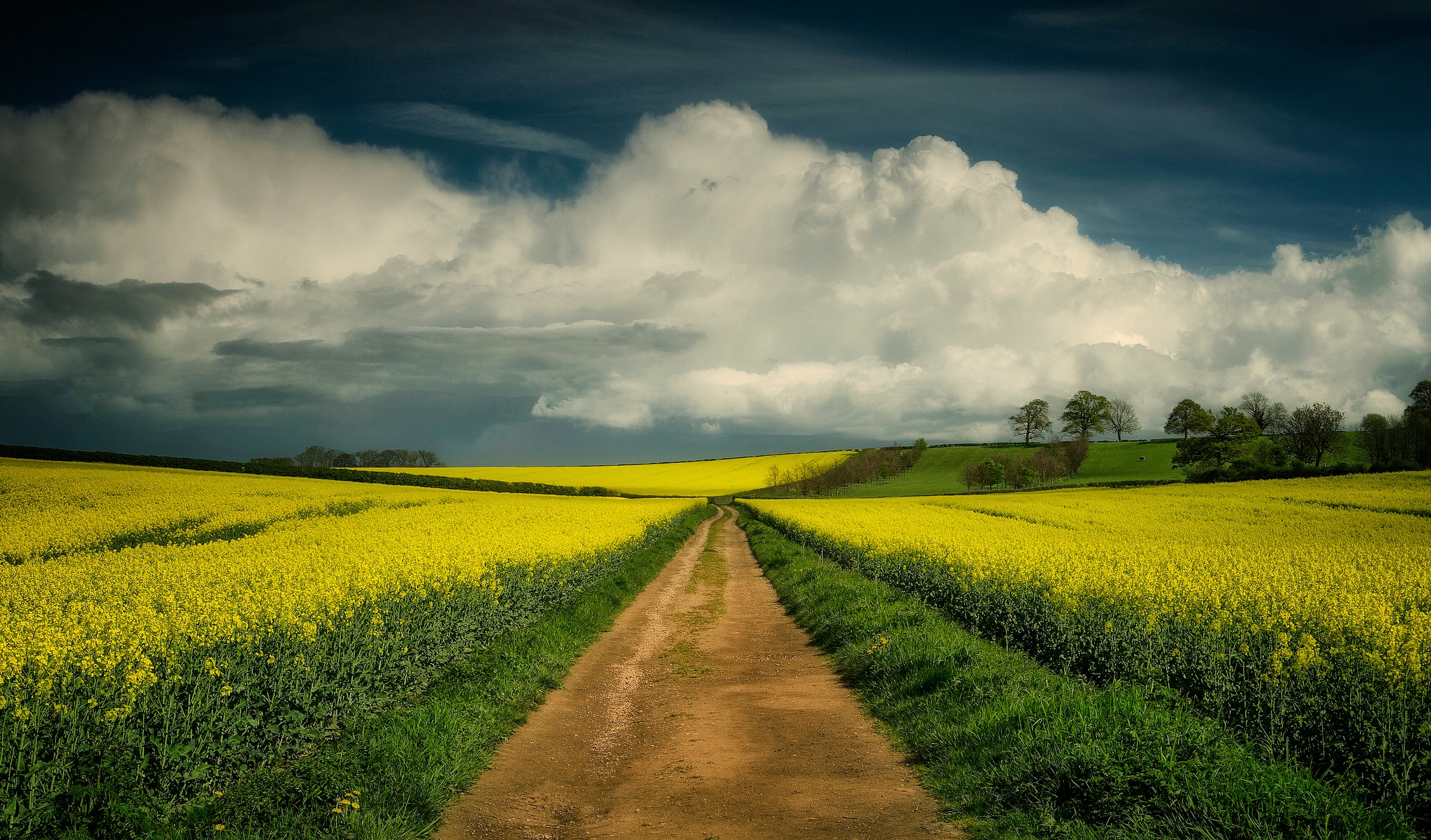 Field roads. Пейзаж с дорогой. Красивое поле. Поле с дорогой. Красивое поле с дорогой.