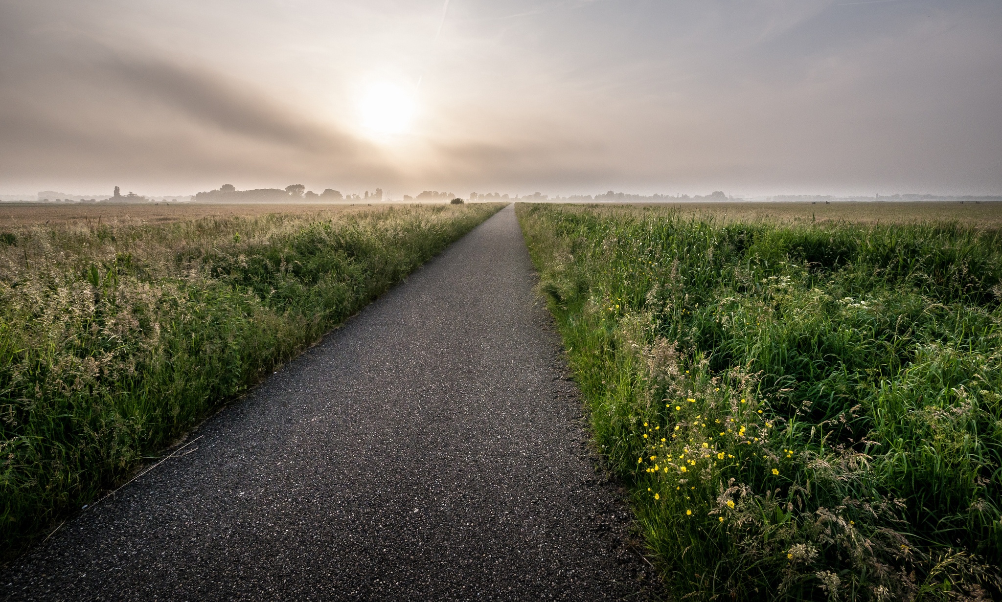 Field roads. Проселочная дорога. Дорога в поле. Проселочная дорога туман. Поле в тумане.