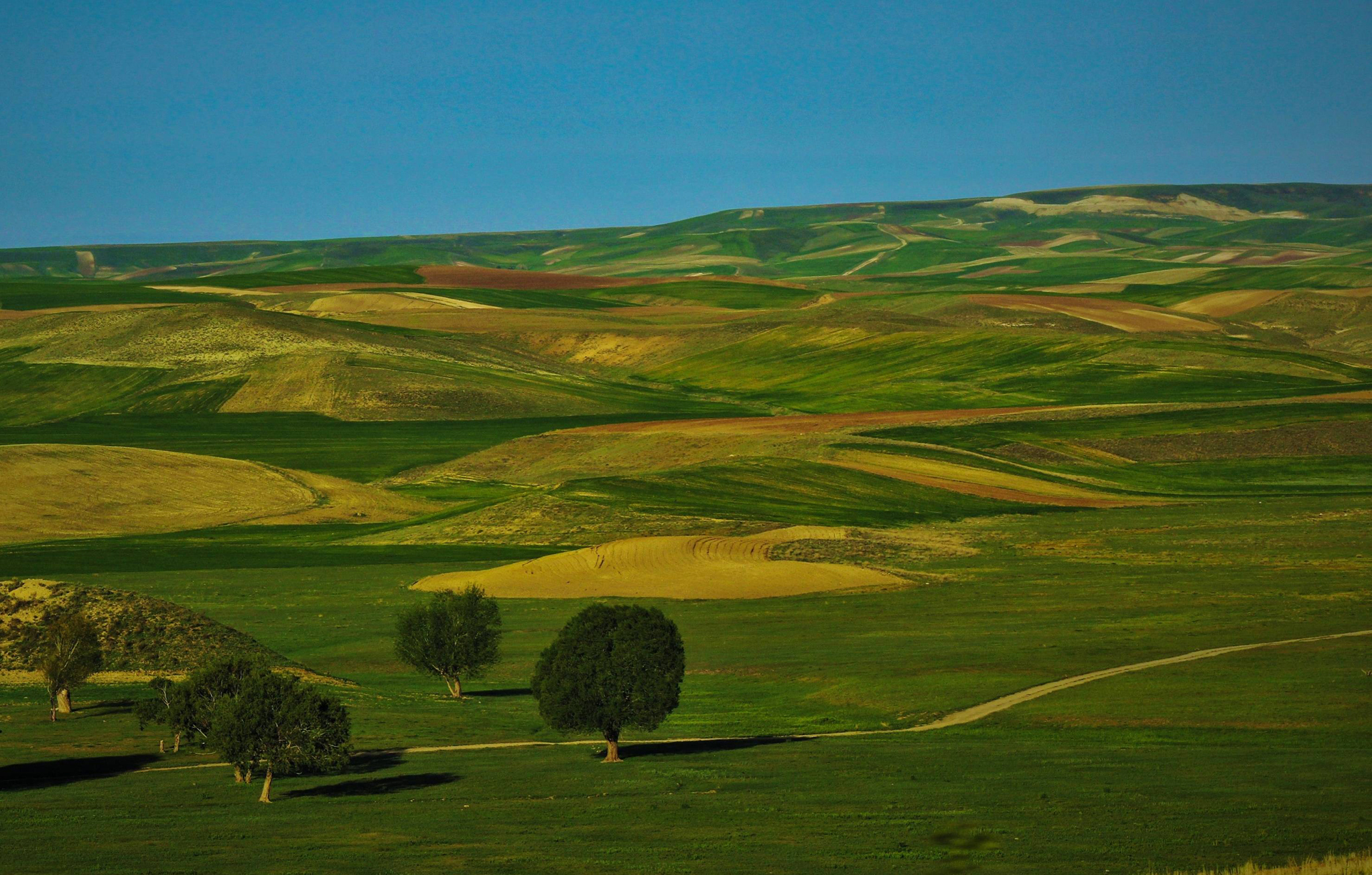 Природный ландшафт. Холмистая равнина равнина. Равнина Мидленд. Холмистые равнины Молдавии. Холмистые равнины в Молдове.