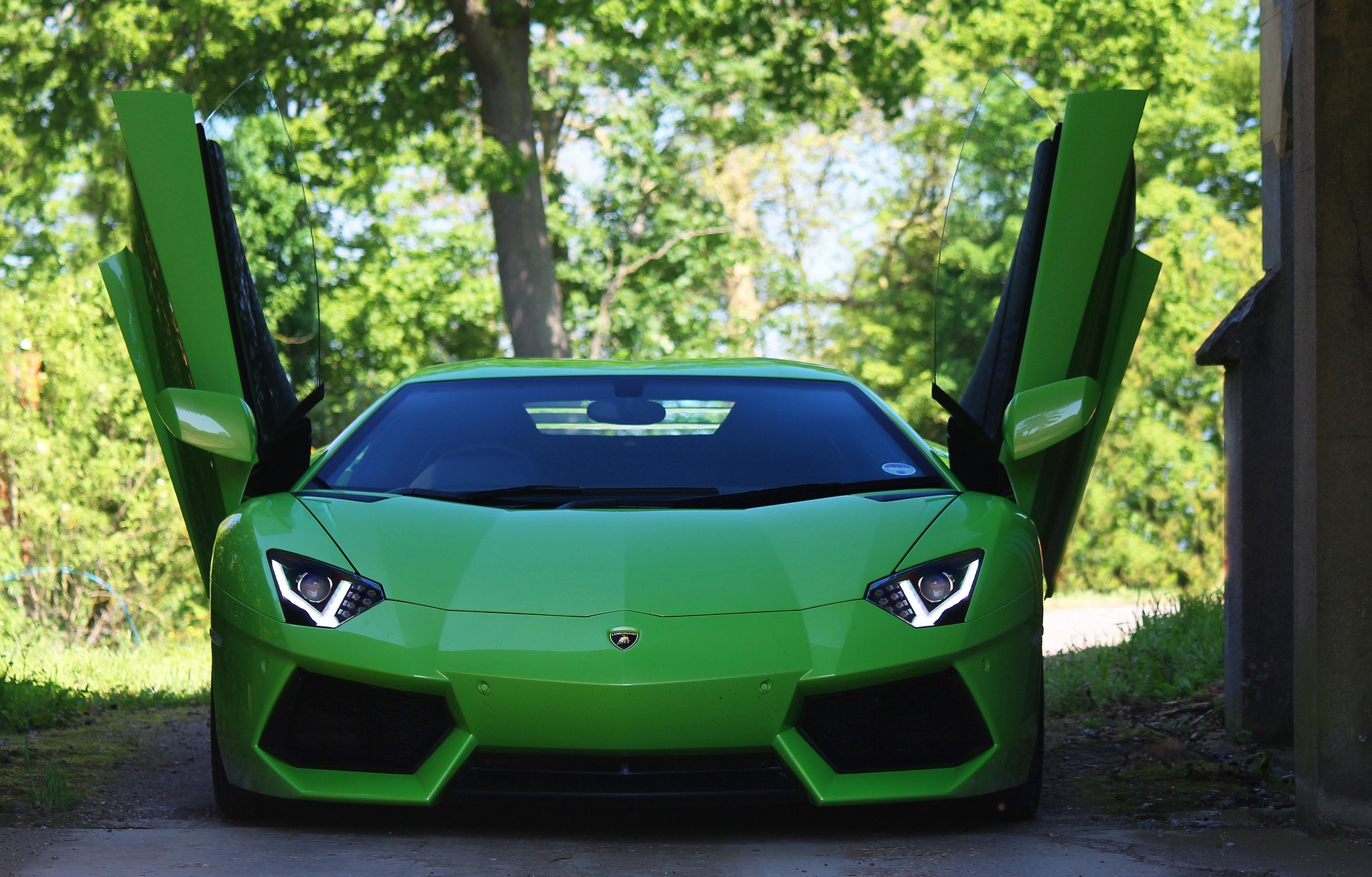 Lamborghini Green Color