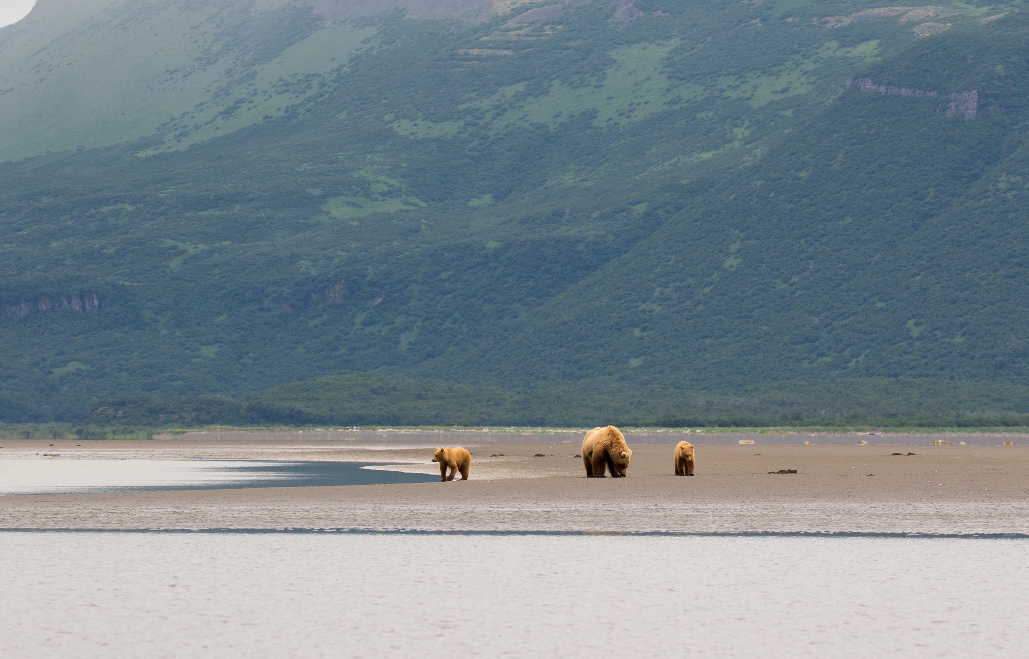 гора три медведя без фотошопа в тыве