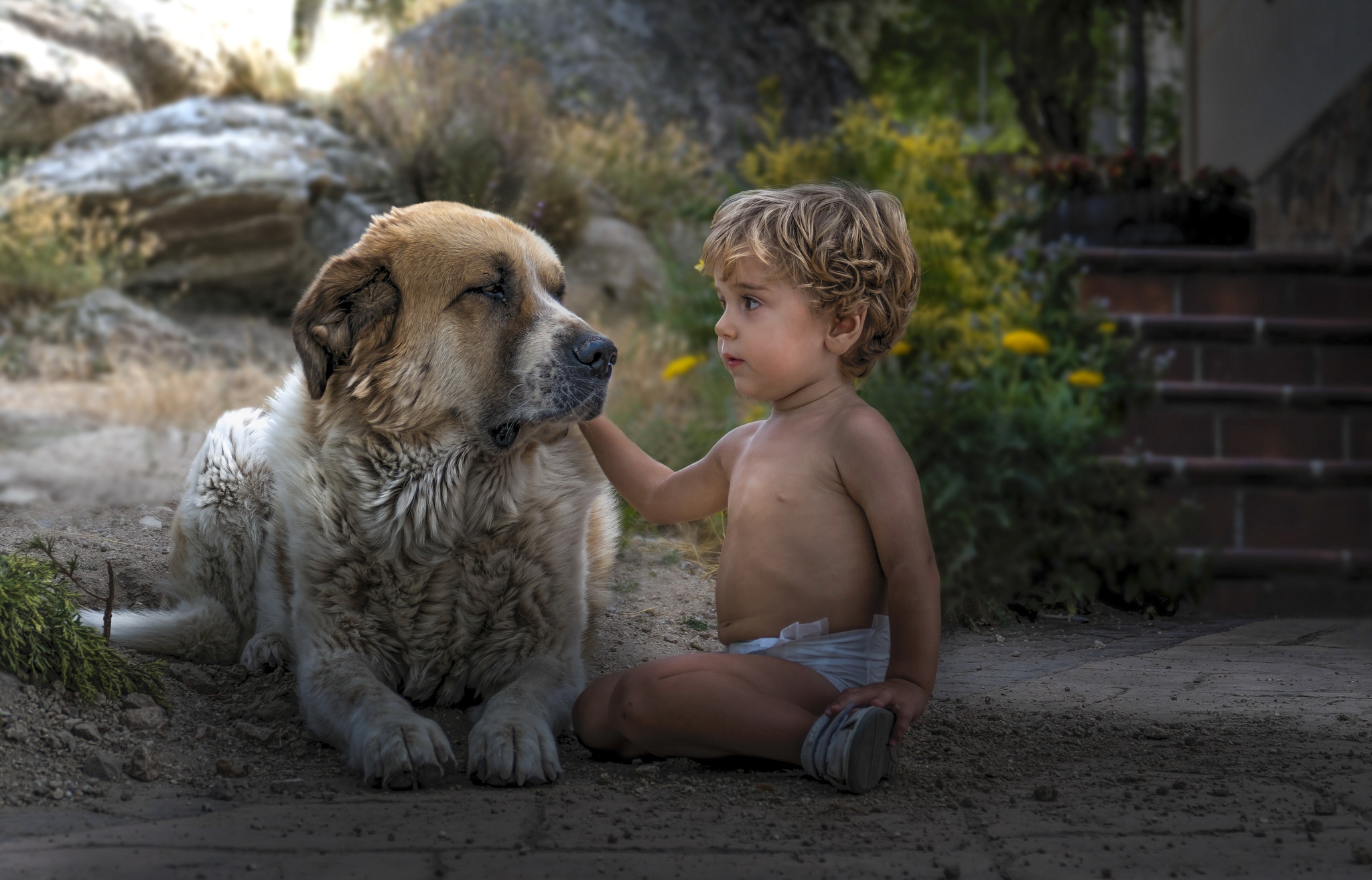История собаки мальчика. Мальчик с собакой. Собака для детей. Для детей. Животные. Малыш и собака.