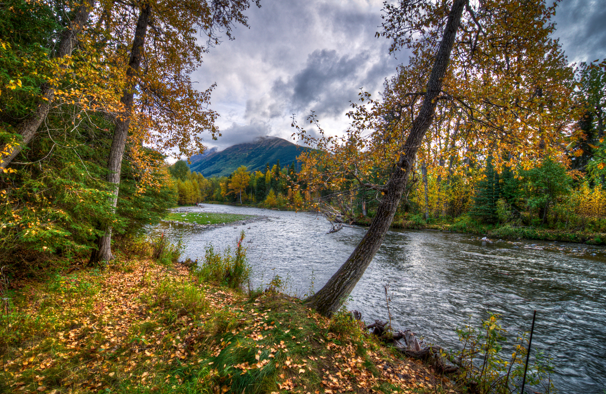 Russian river. Реке рашен-Ривер. Russian River Аляска. Аляска осенью. Аляска осень лес озеро.