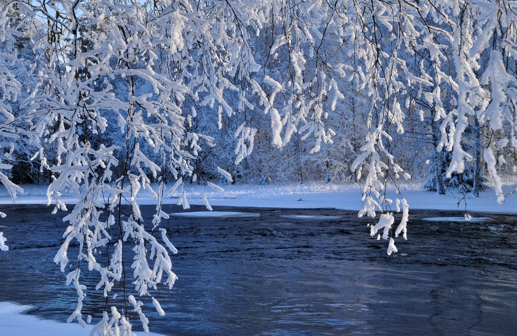 Слушать снег вода. Зимняя вода. Река зимой. Зима картинки. Снег и лед в природе.