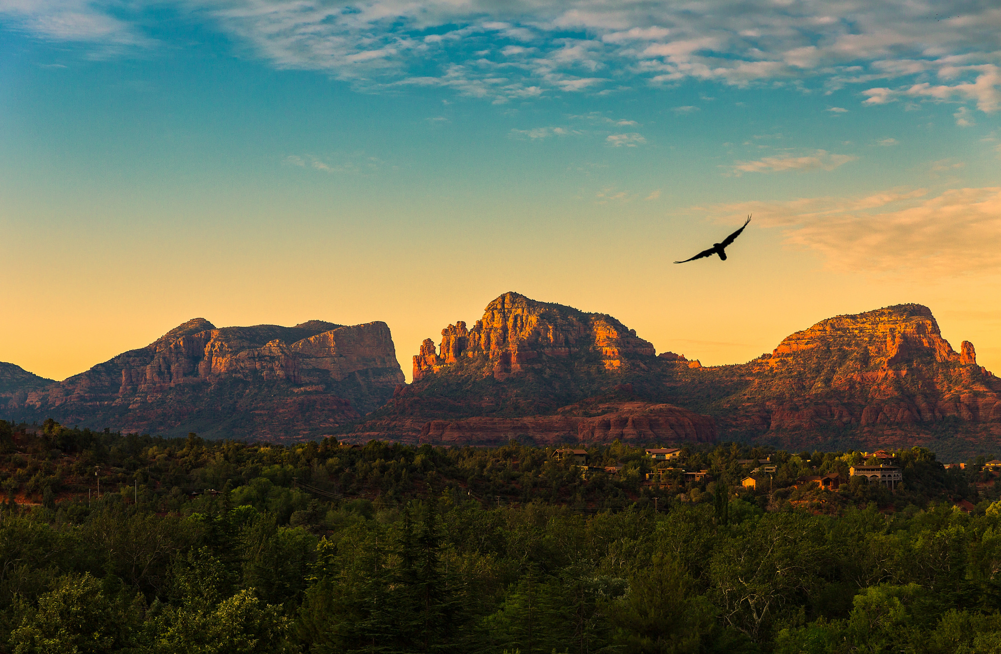 Ts Bird Mountain