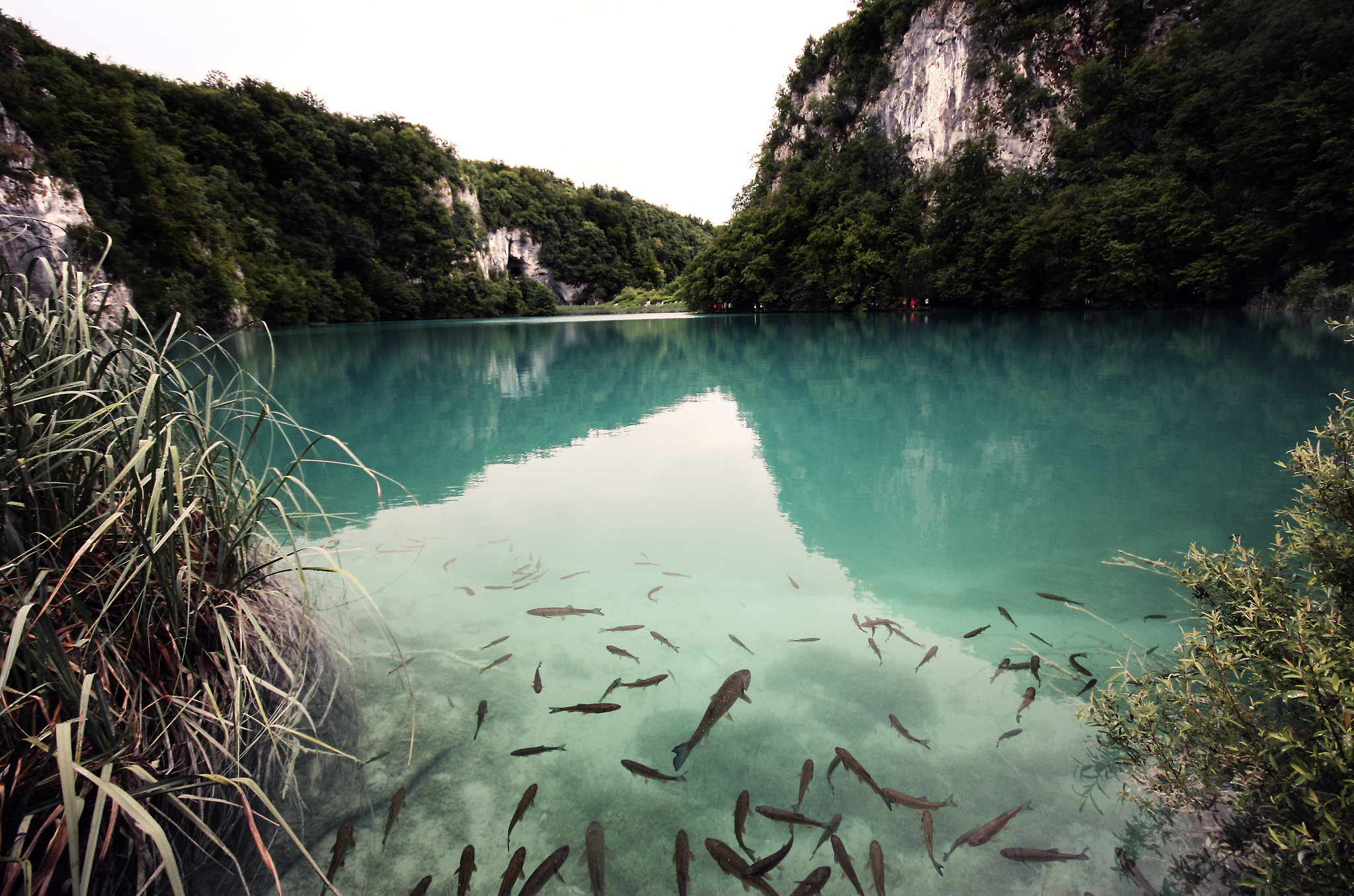 Озеро в форме рыбы. Озеро Гечепсин. Озеро Бекан. Драконовое озеро Греция. Кавагучико озеро.