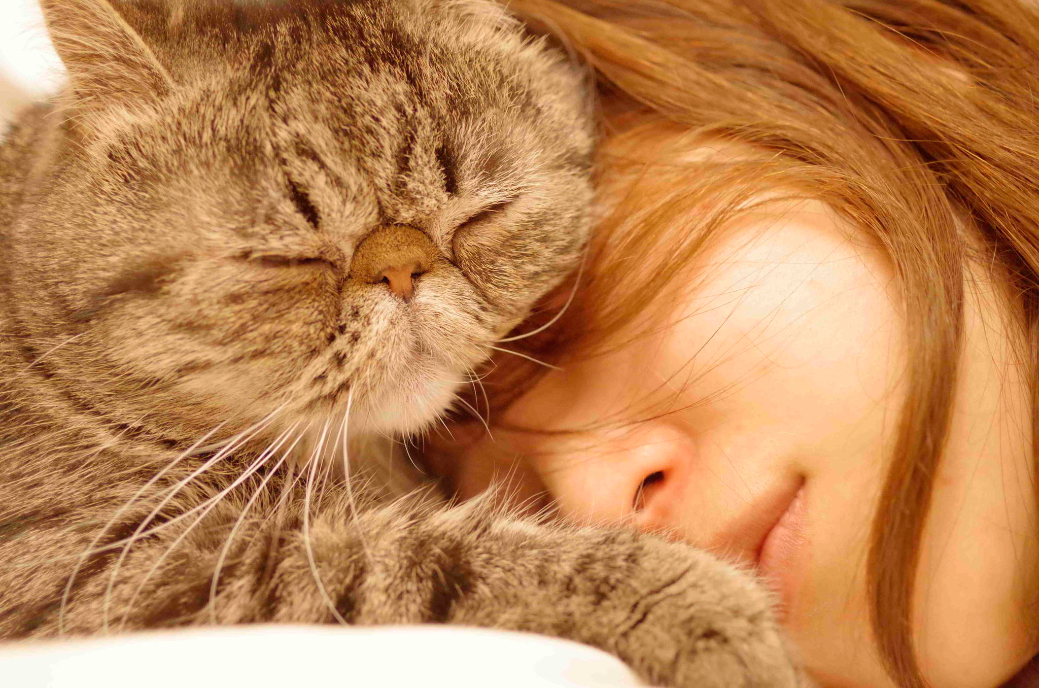 Кошка приходит спать. Девушка с рыжим котом. Спящие котята.