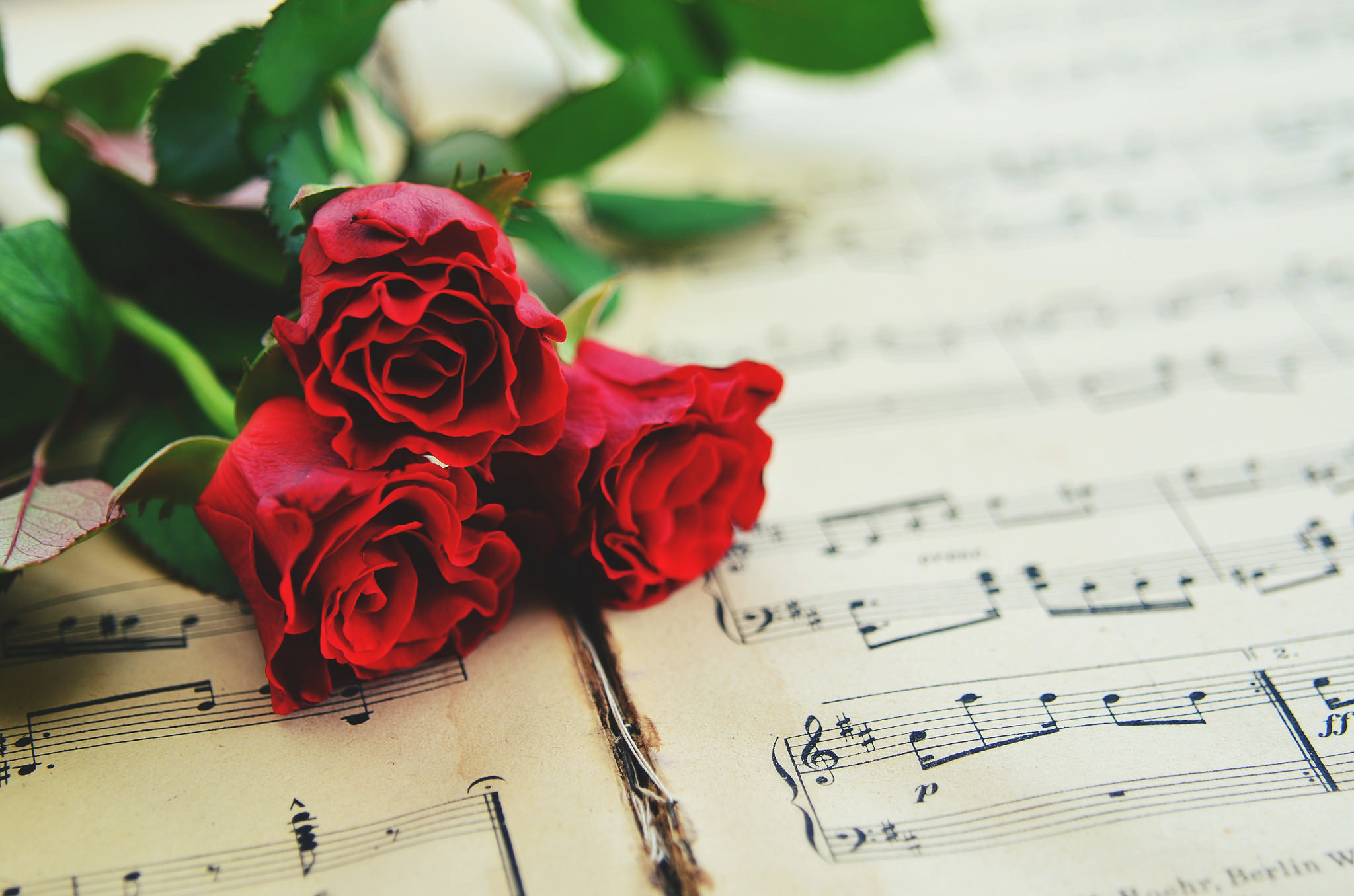 Песни к рождения мужчине. Музыкальный букет цветов. Ноты и цветы. Открытка музыканту. Розы и Ноты.