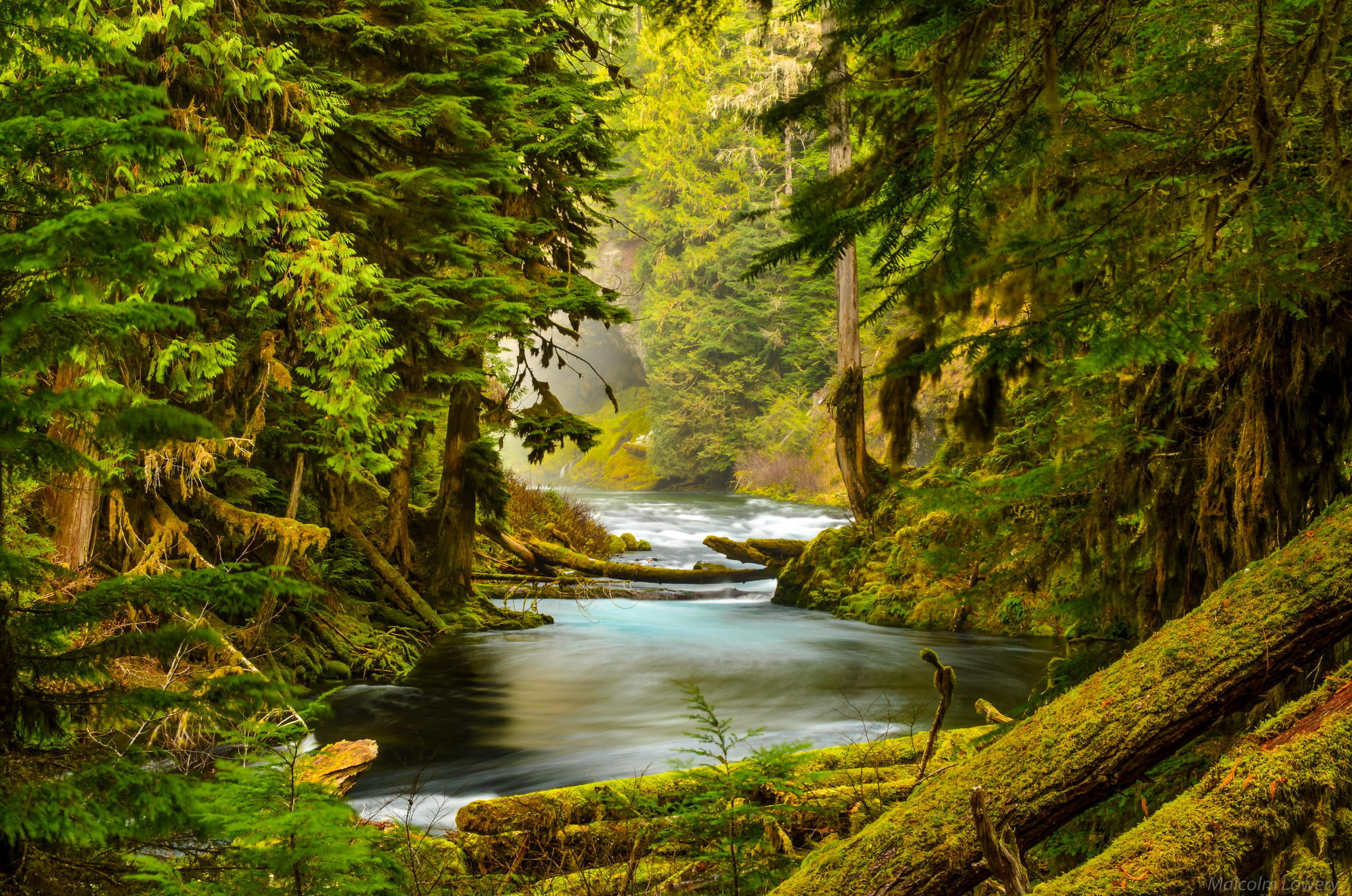 Фото рисунки природы. Маккензи река горы. Природа. Река в лесу. Лесной пейзаж.