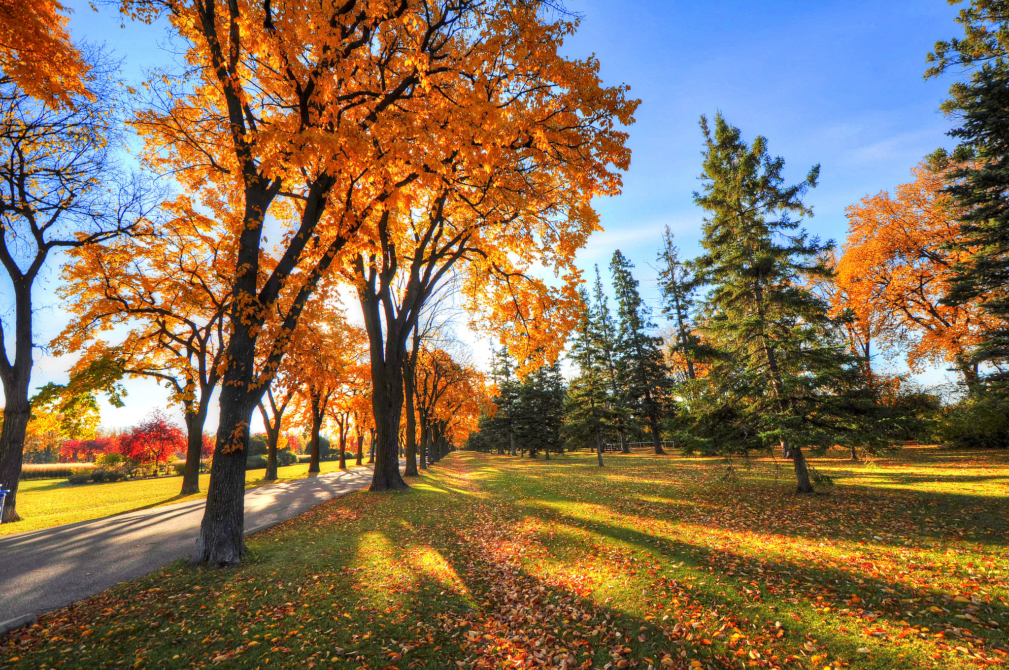 Какая сейчас осень. Осень. Красивая осень. Осенний парк. Осенняя природа.