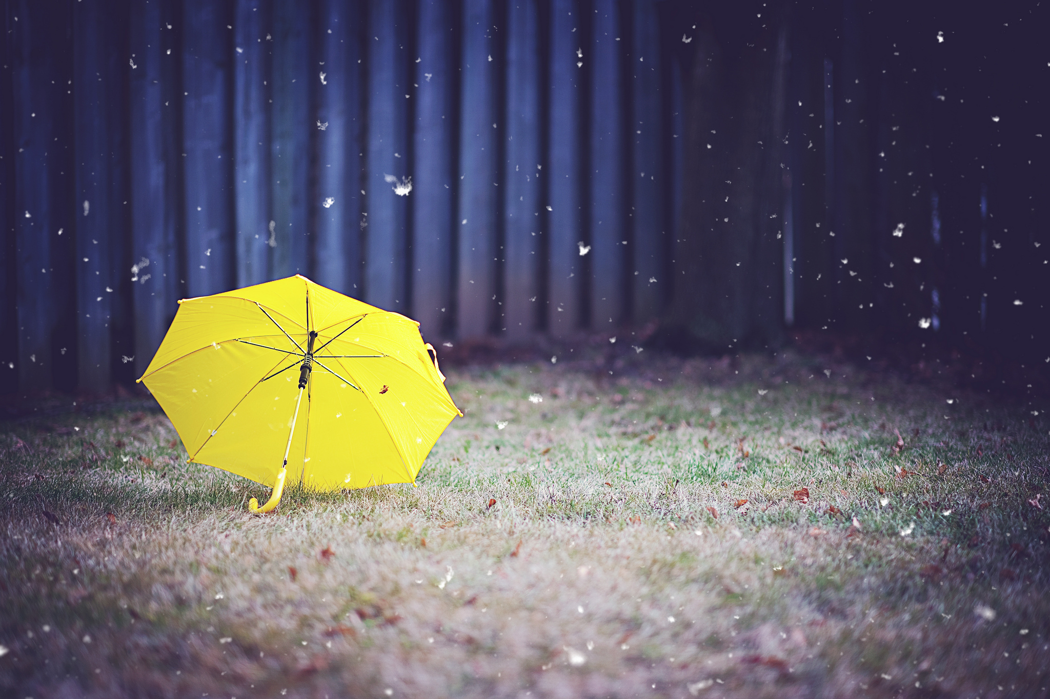 Обои зонтика. Зонт желтый. Дождь зонт. Осенний зонтик. Зонтик картинка.