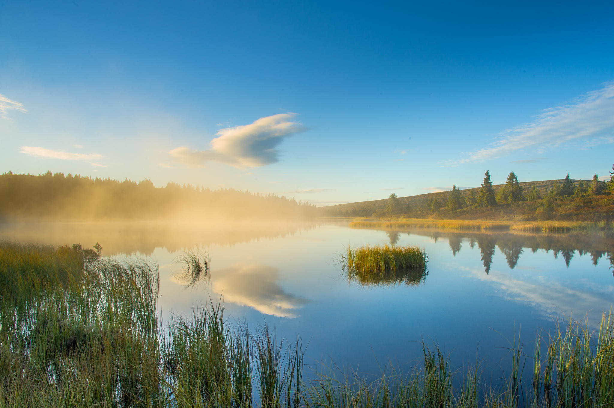 Безмятежно спокойное. Утро на озере. Лето утро озеро. Утро на Лесном озере. Утренняя река.