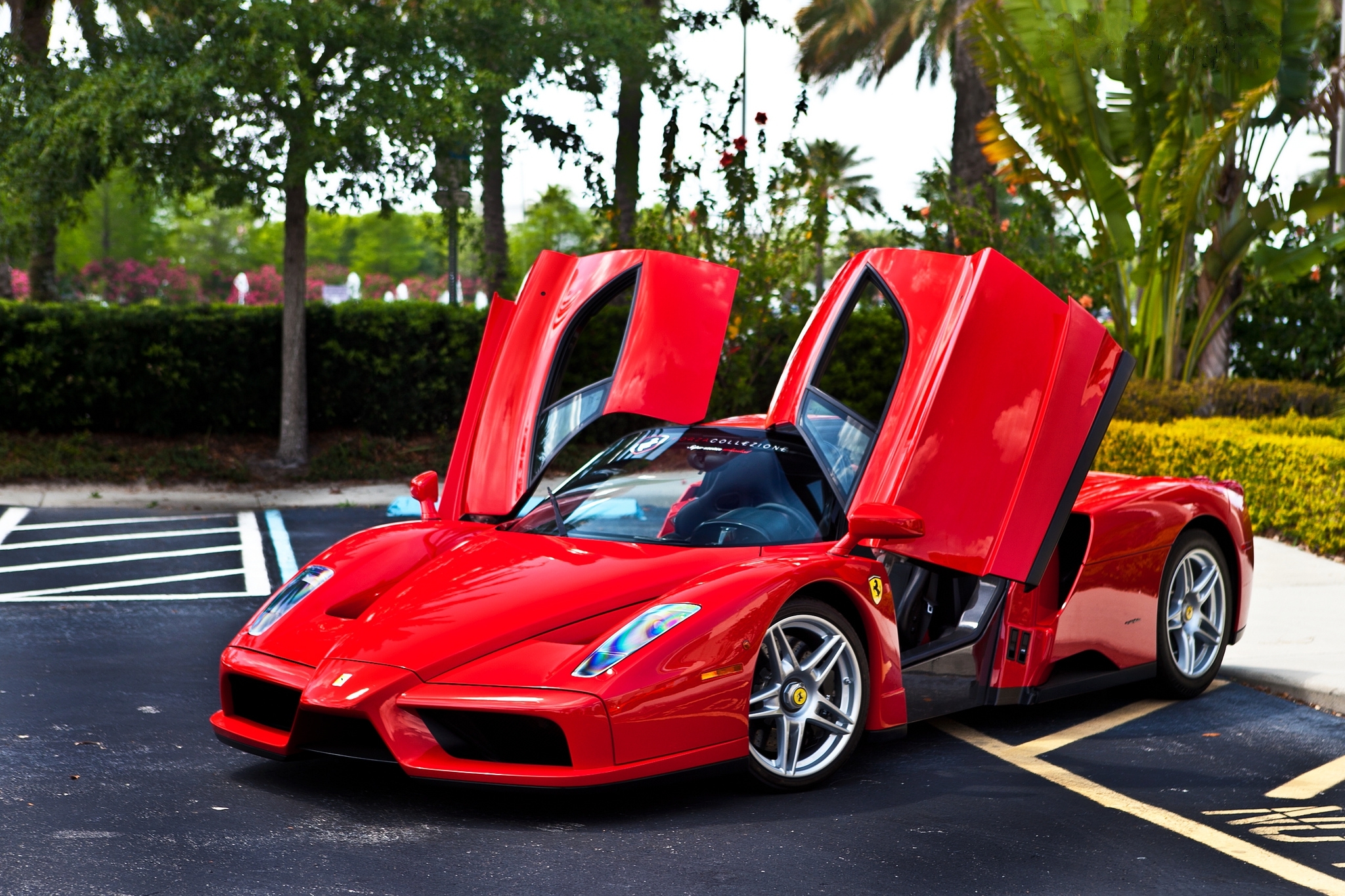 Ferrari Enzo 1920x1080