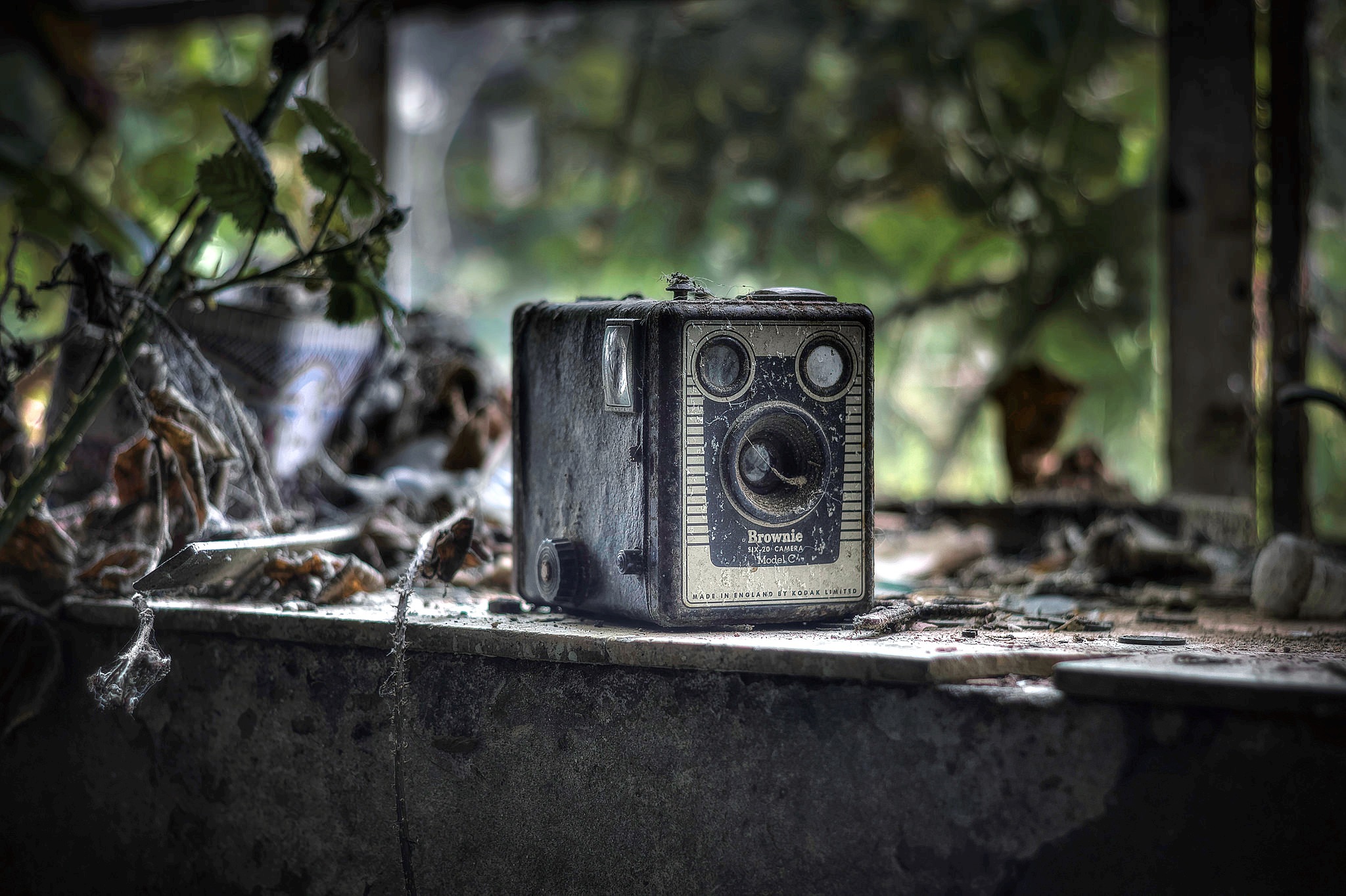 Camera window. Фон фотоаппарат. Окошко фотоаппарата. Фотоаппарат на окне. Фотоаппарат Броуни фотографы.