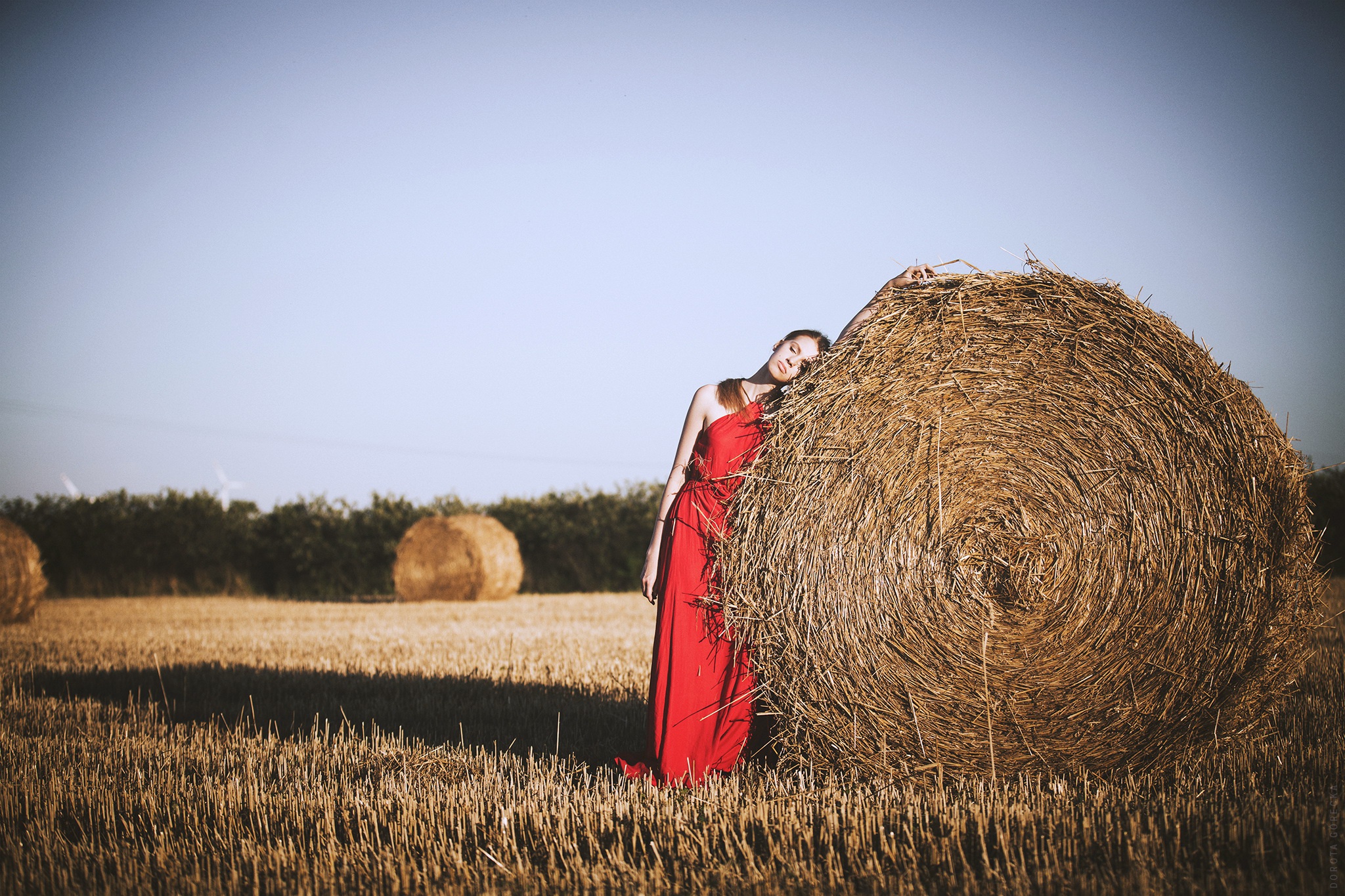 Сена 2016. Фотосессия с тюками сена. Фотосессия с сеном в рулонах. Фотосессия в поле с рулонами. Фотосессия с рулонами сена в поле.