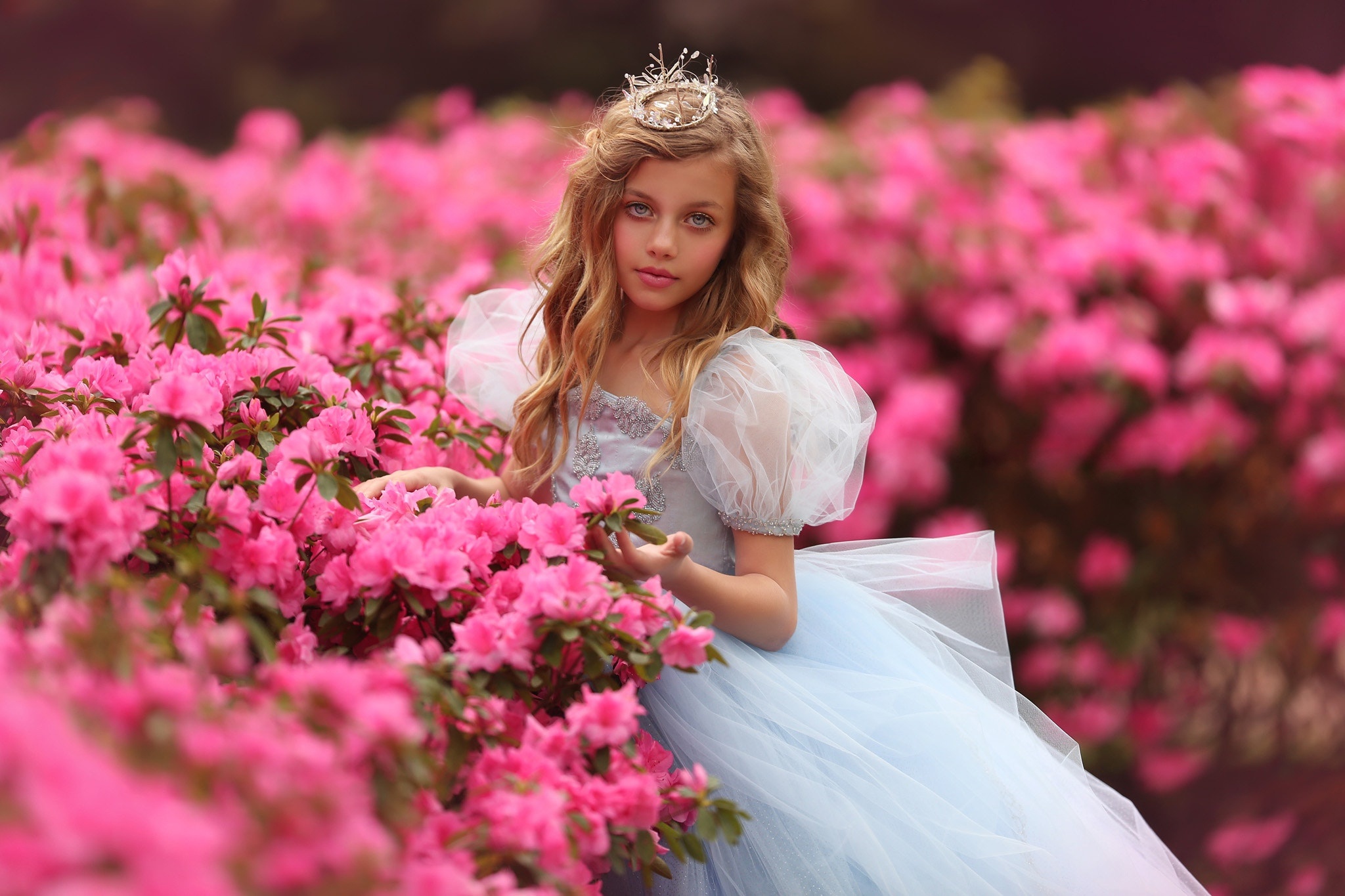 Красивые принцессы. Джейд Вебер принцесса. Jade Weber Katie Andelman. Девушка в розовом платье. Девушка в цветах.
