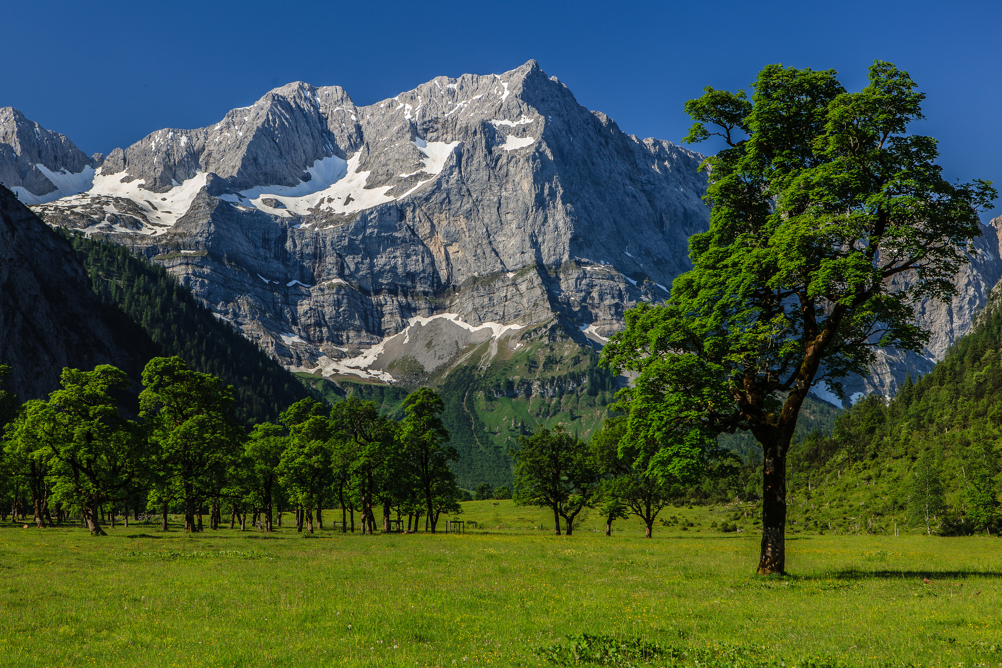 Old mountain. Горы Карвендель. Горные деревья. Деревья в горах. Долина в горах.