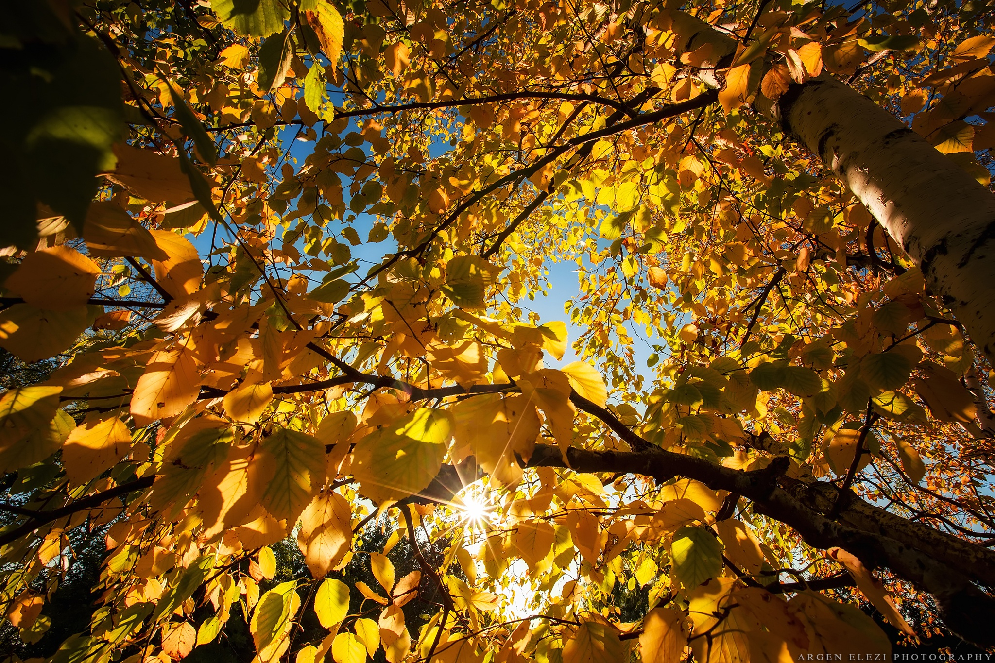 В парк пришла осень. Солнечная осень. Осень солнце. Солнце осенью. Осенние листья деревьев.