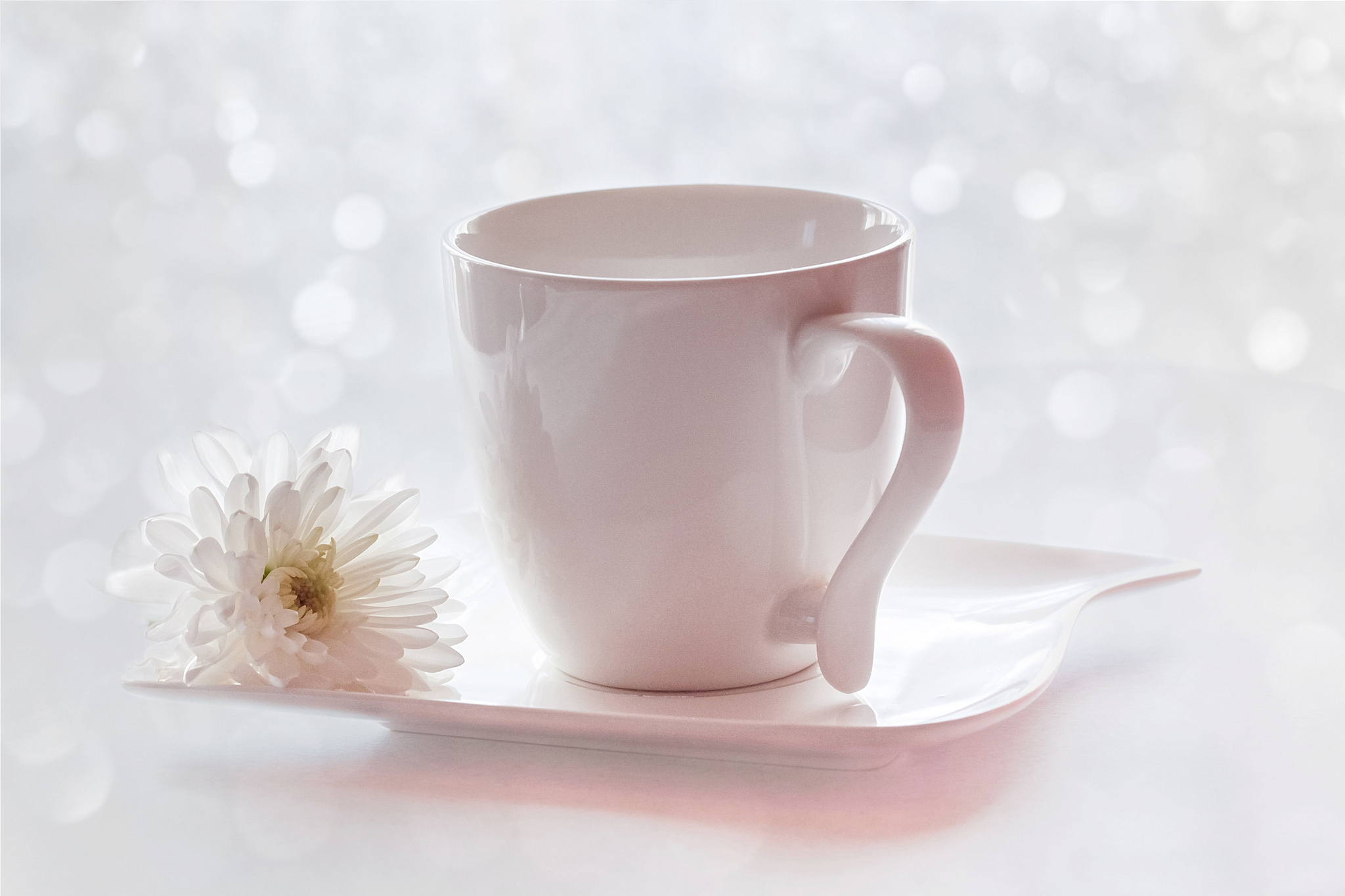 Cups flowers. Красивые белые чашки. Чашка нежная. Красивая белая Кружка. Цветы в чашке.