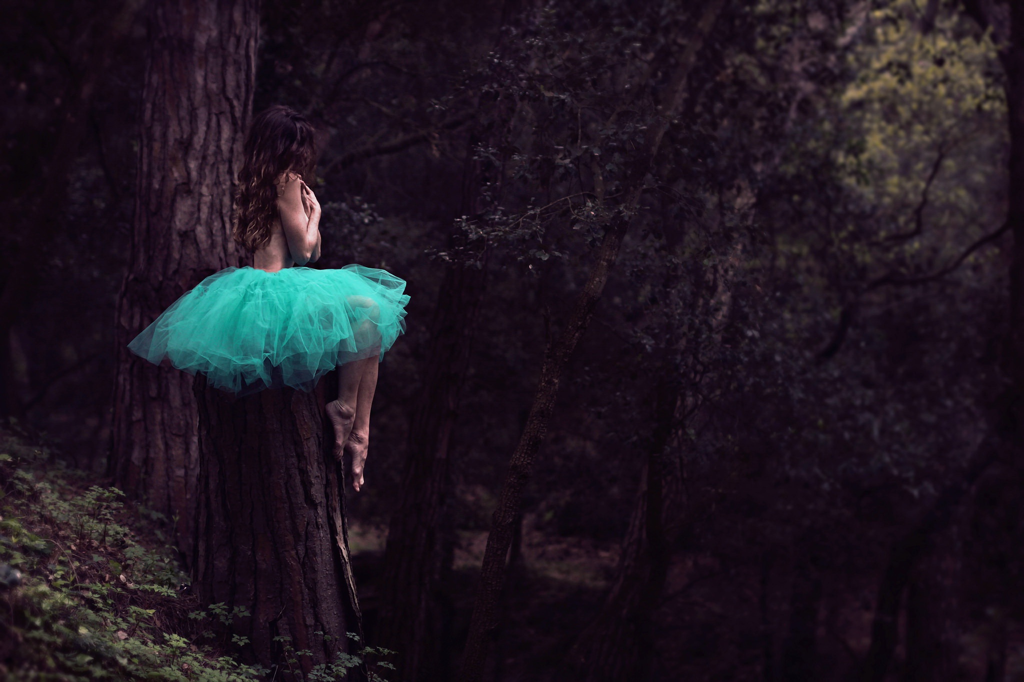 Удивление в лесу. Девушка в лесу. Девушка дерево. Девушка в лесу на дереве. Девушка идет по лесу.