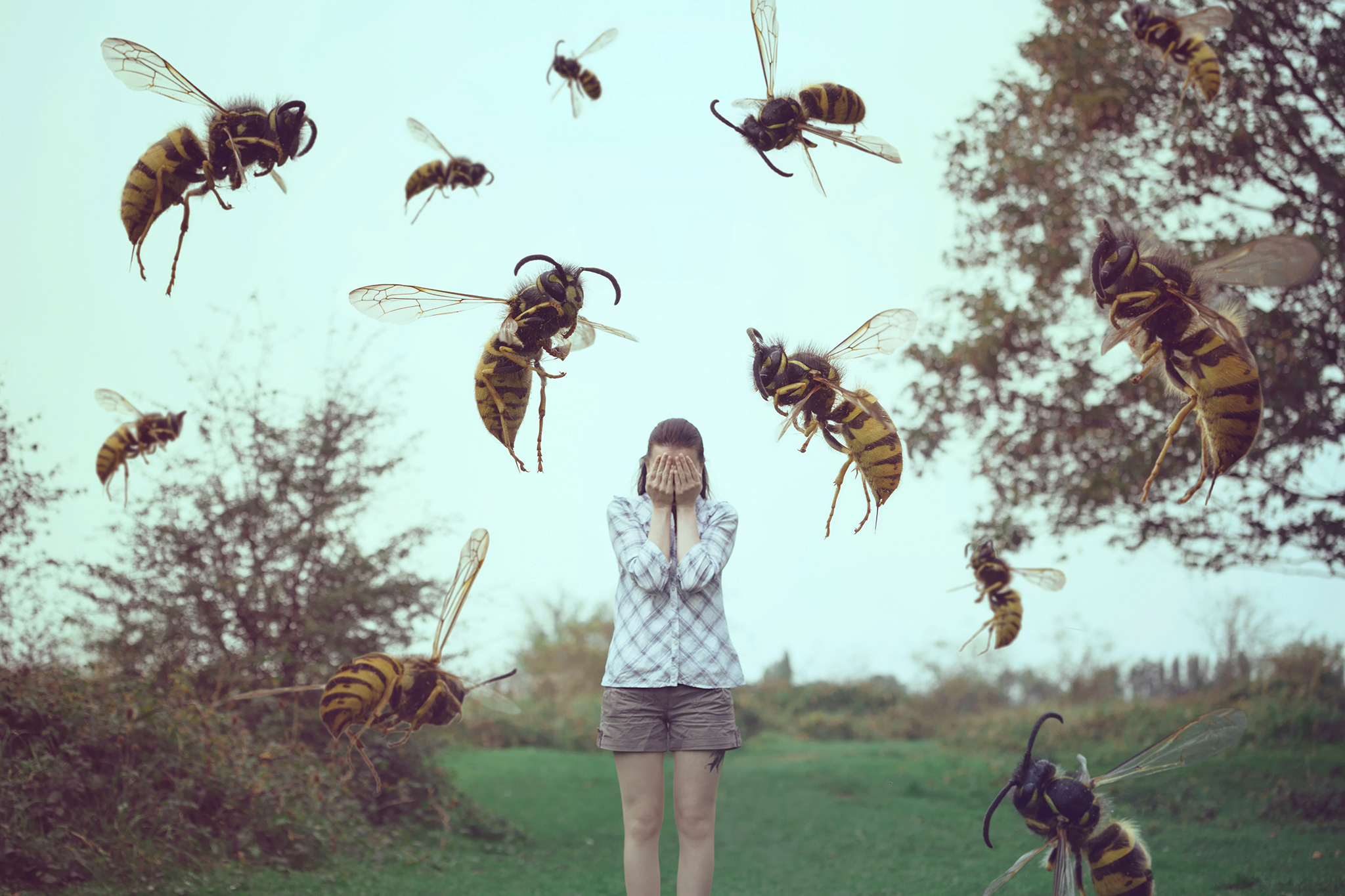 Нападение насекомых. Осы Рой. Пчелы атакуют.
