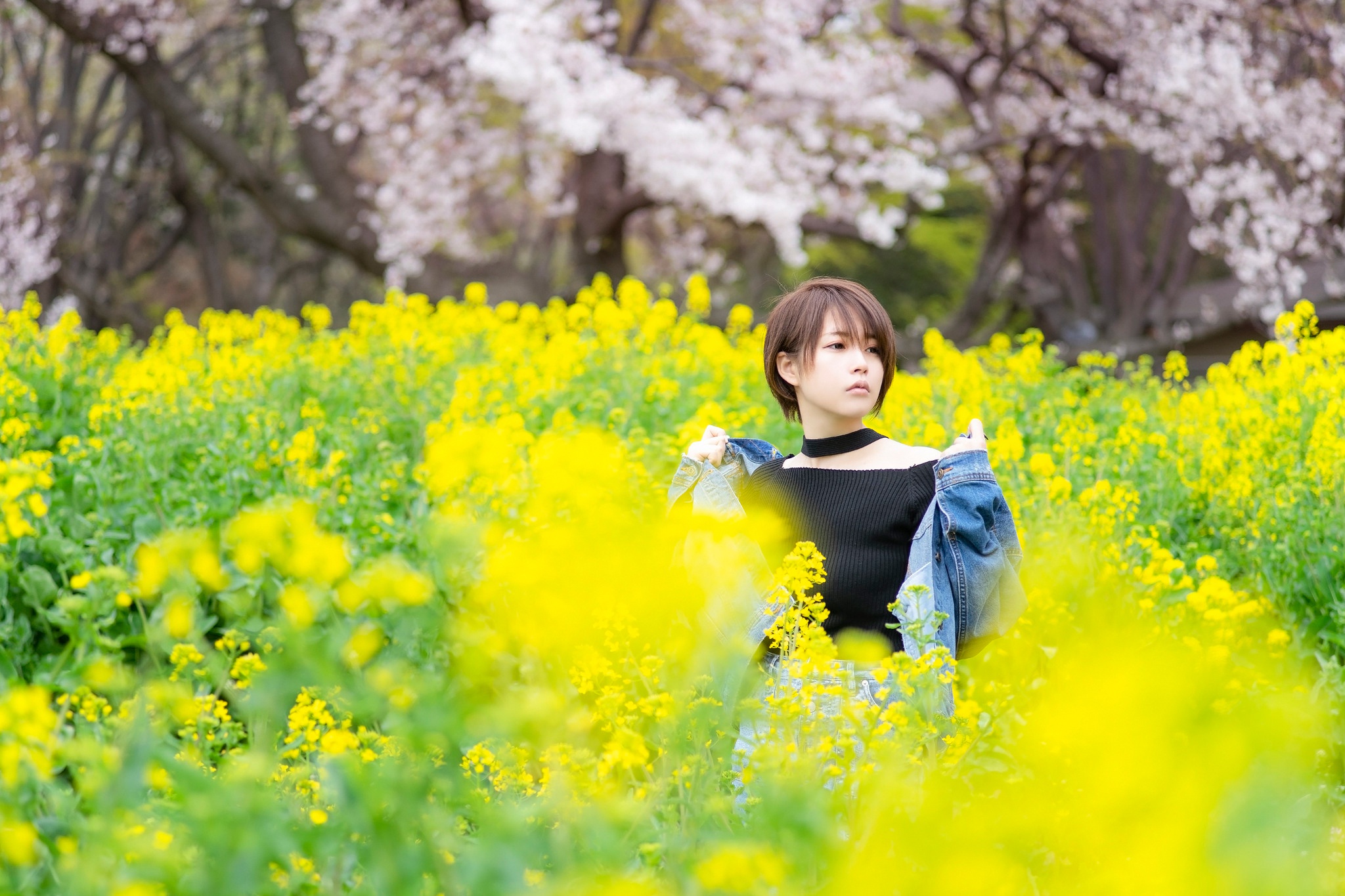 Yellow spring road in japan