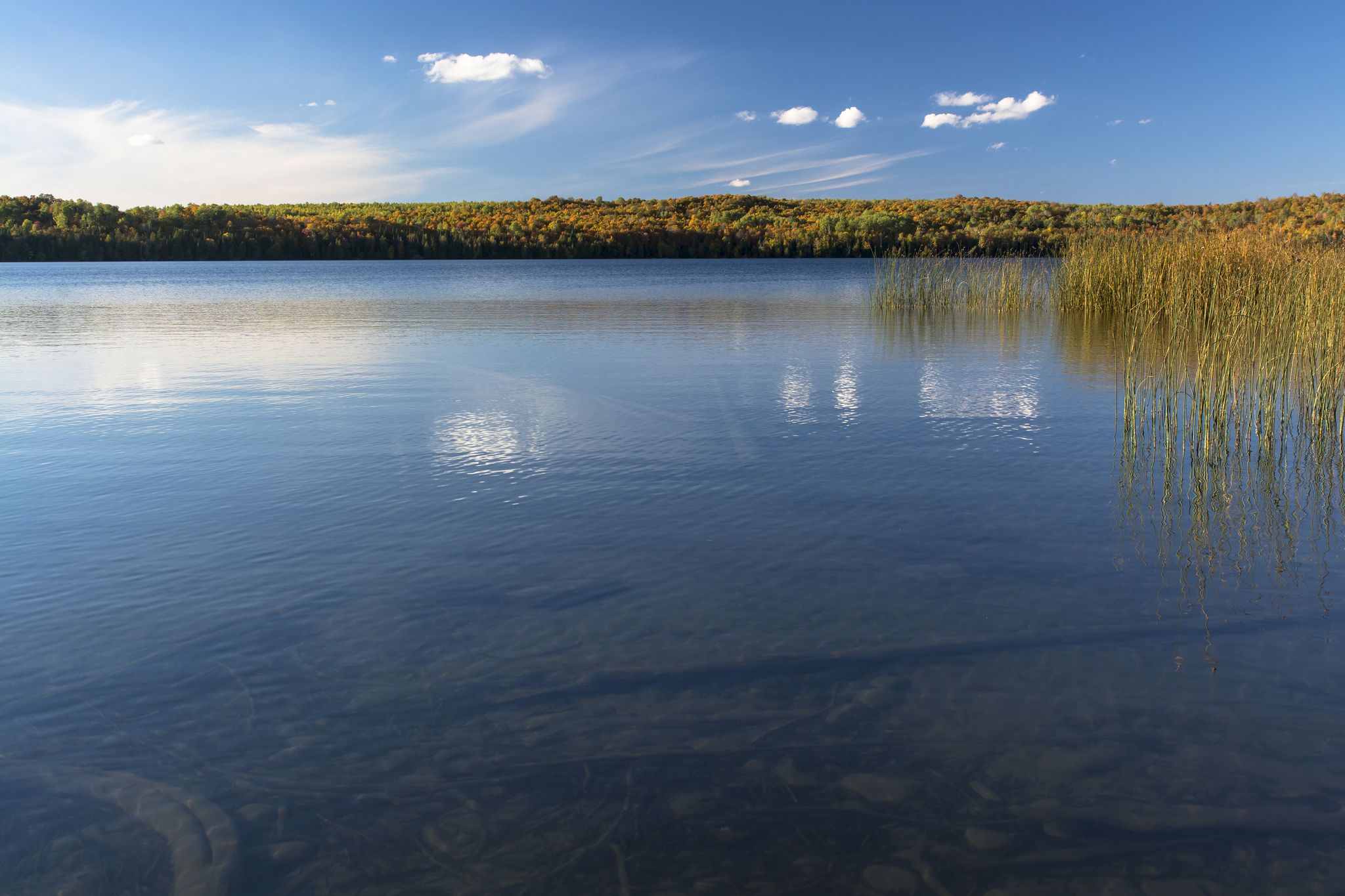 Озеро свободной воды. Озеро Веттерн. Озеро Юлемисте. Водоемы (озера, пруды, обводненные карьеры, водохранилища). Вода озеро.