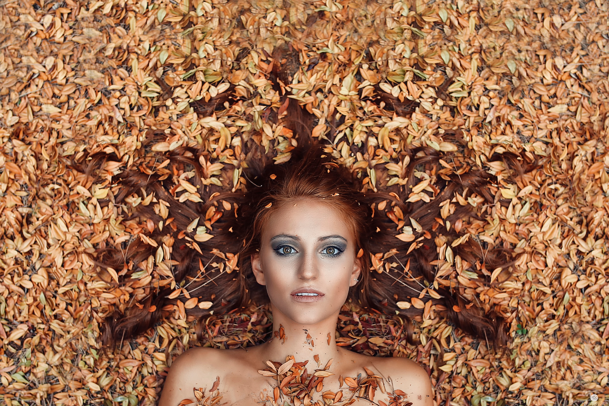 креативные фото с листьями