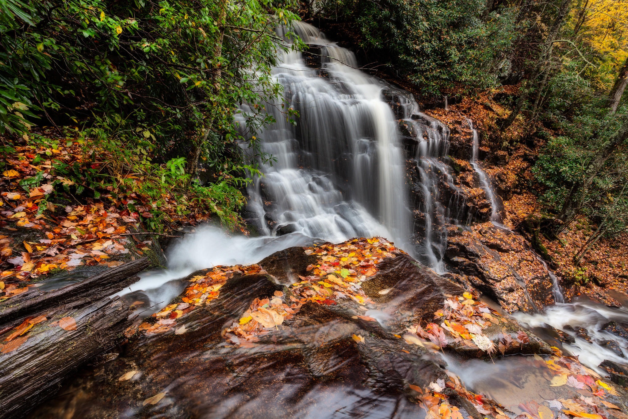 Autum Falls