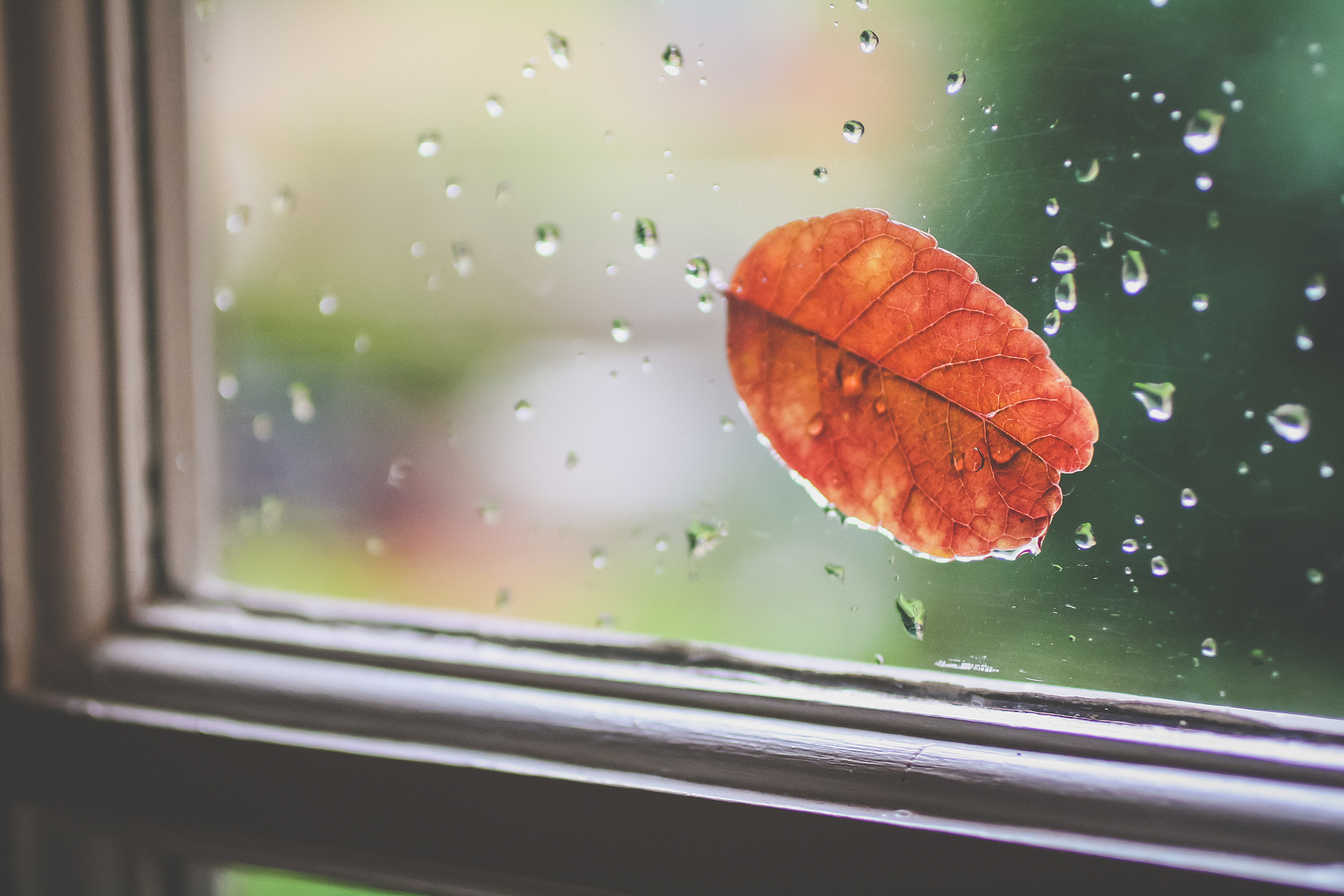 Ночью по листьям стучал беспрерывно. Осенний дождь. Осень дождь окно. Капли дождя на окне. Листья на окна.