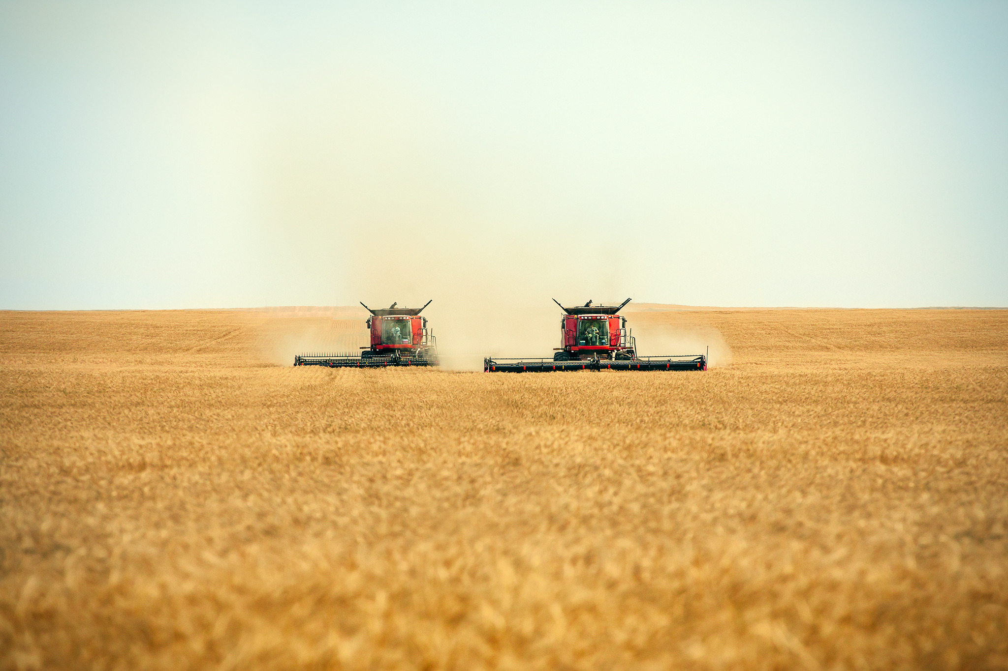 Сборки в поле. Комбайн в поле. Трактор в поле. Пшеница трактора. Комбайны вдалеке.