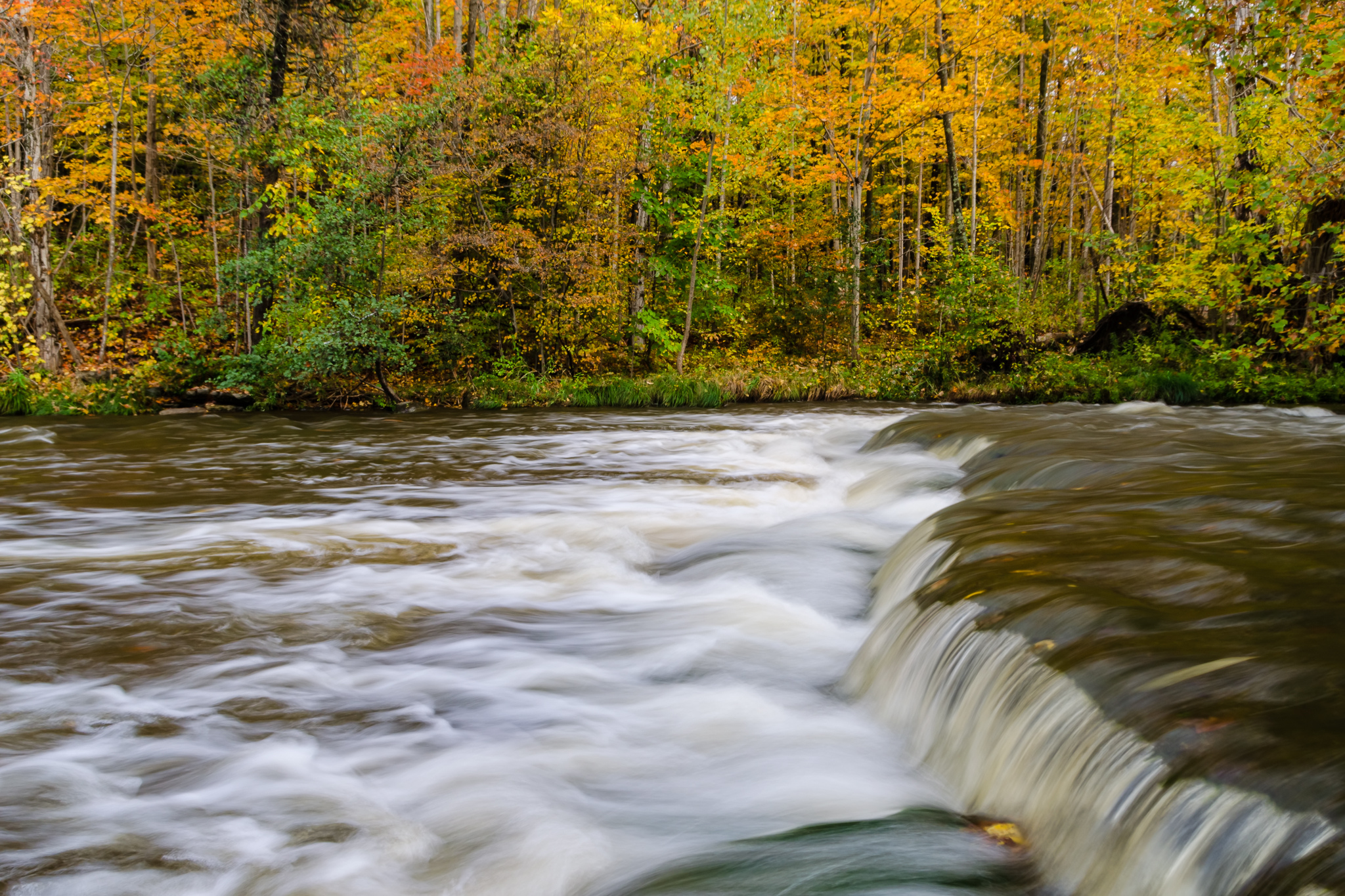 Река шум воды. Осенняя река. Осень река. Река осенью. Река в лесу.
