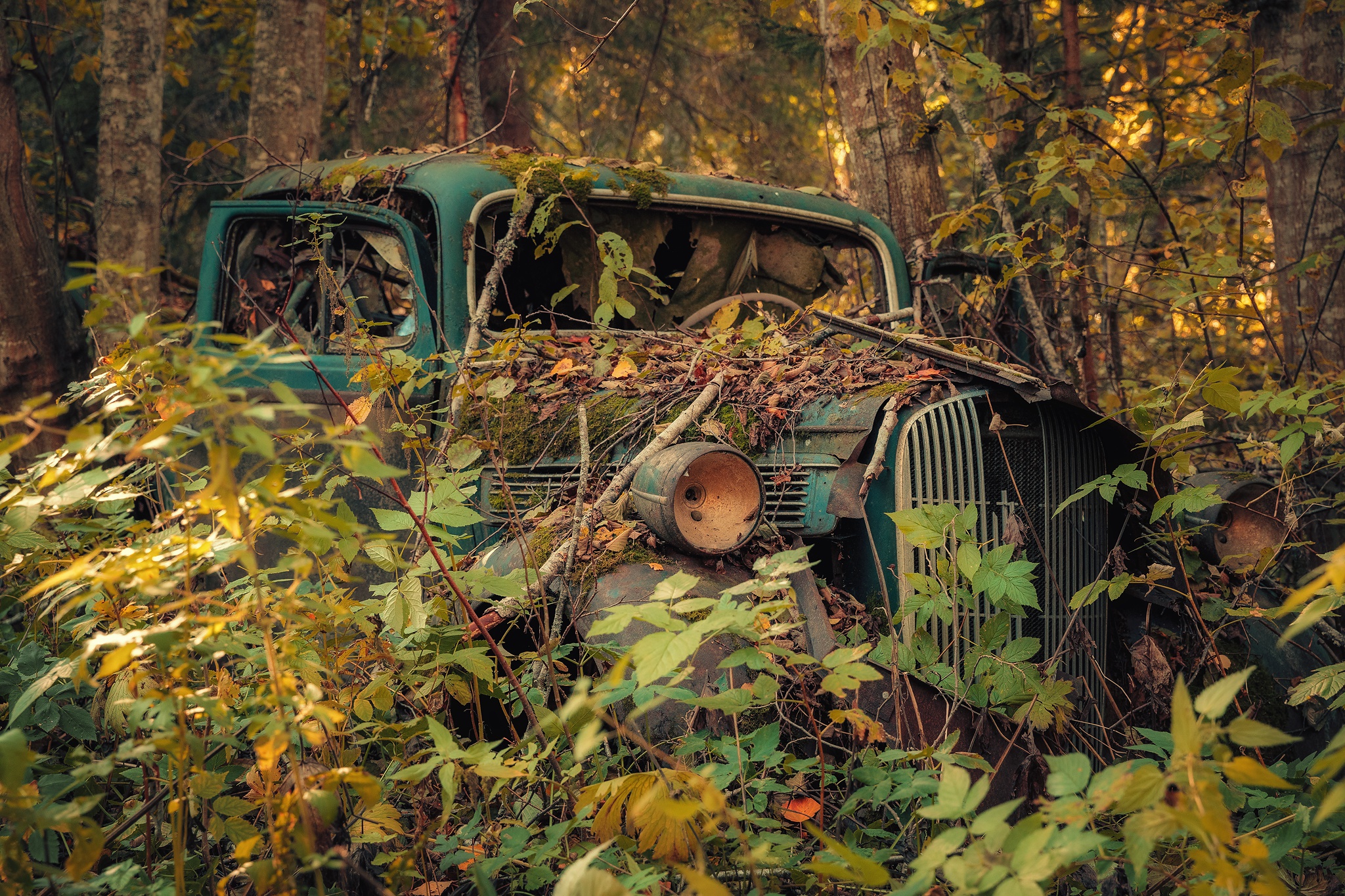 Капот в лесу. Заброшенные автомобили. Брошенные машины в лесу. Автомобиль в лесу. Старые заброшенные автомобили.