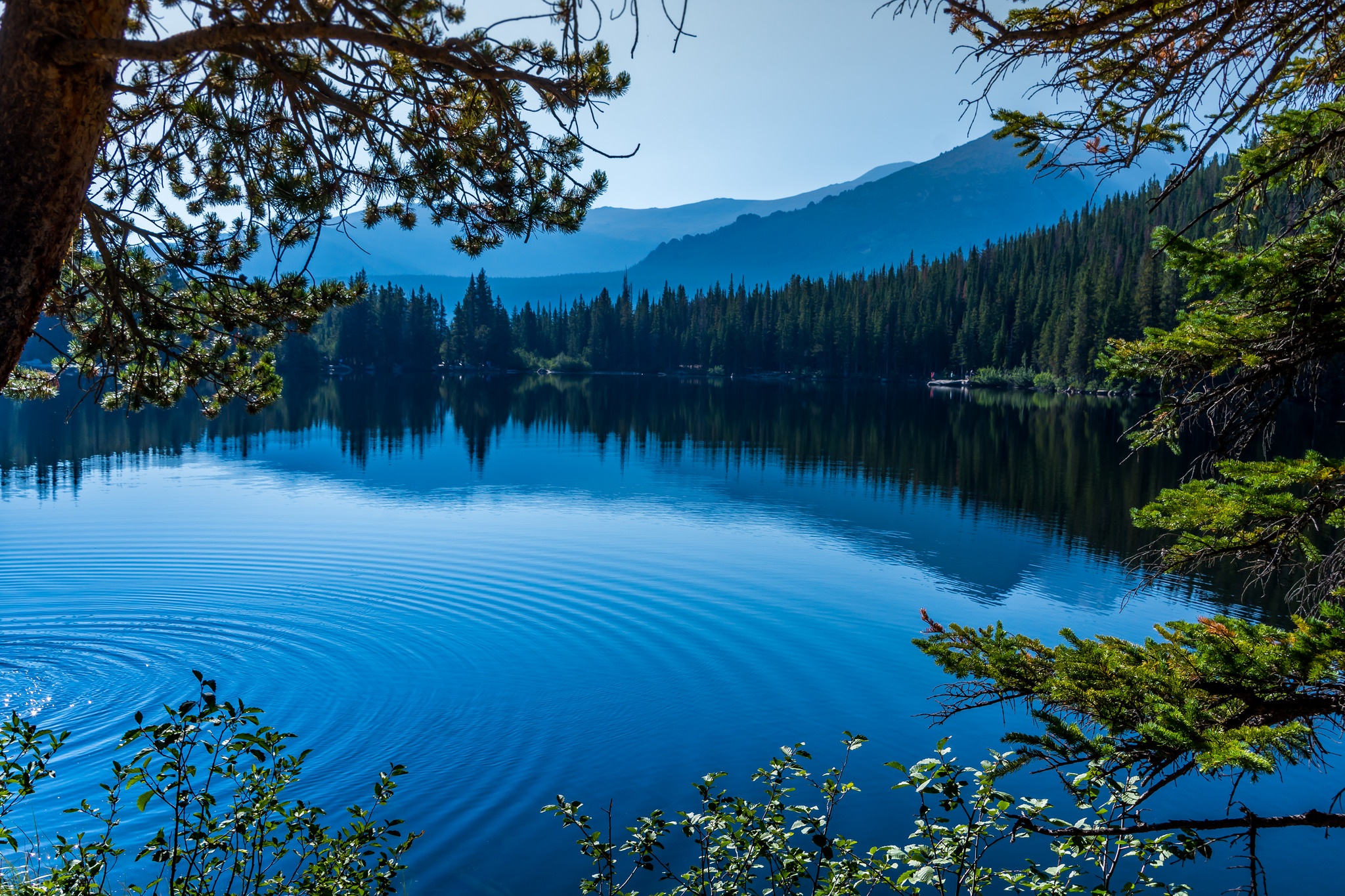 Горы и голубая вода. Фон озеро. Картинка озеро. Озеро с деревьями в воде. Дерево у озера.