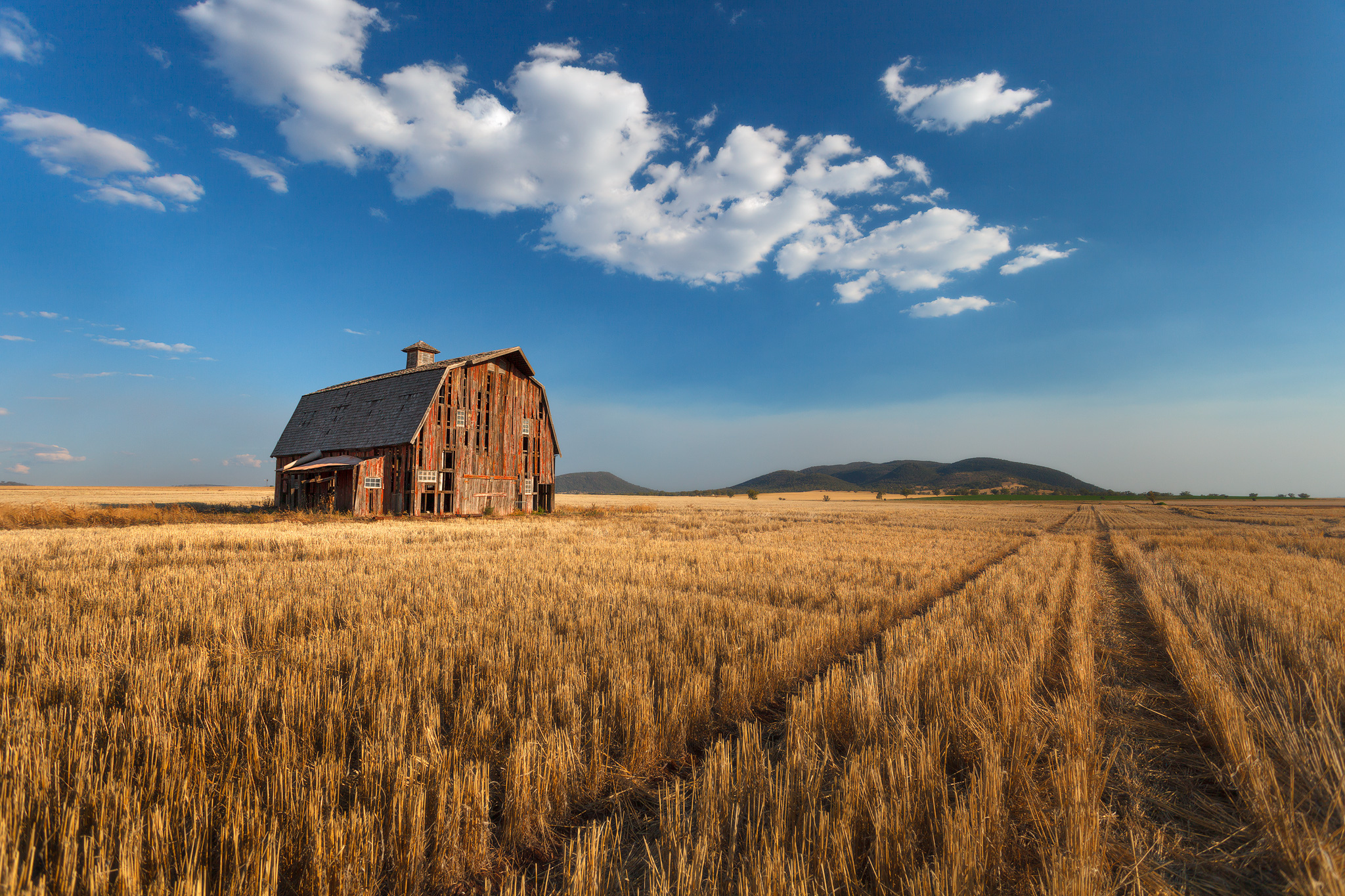 Пшеничные штаты. Американская ферма штат Канзас. Американская деревня Канзас. Штат Канзас глубинка. Пшеничный штат Канзас.