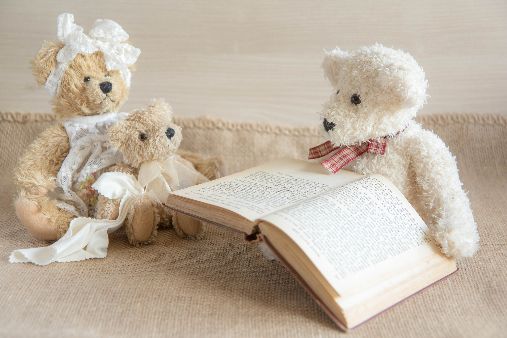 Плюшевый читать. Мишки в книжке. Игрушка медведь с книжкой. Плюшевый мишка с книжкой. Медвежонок с книжкой.