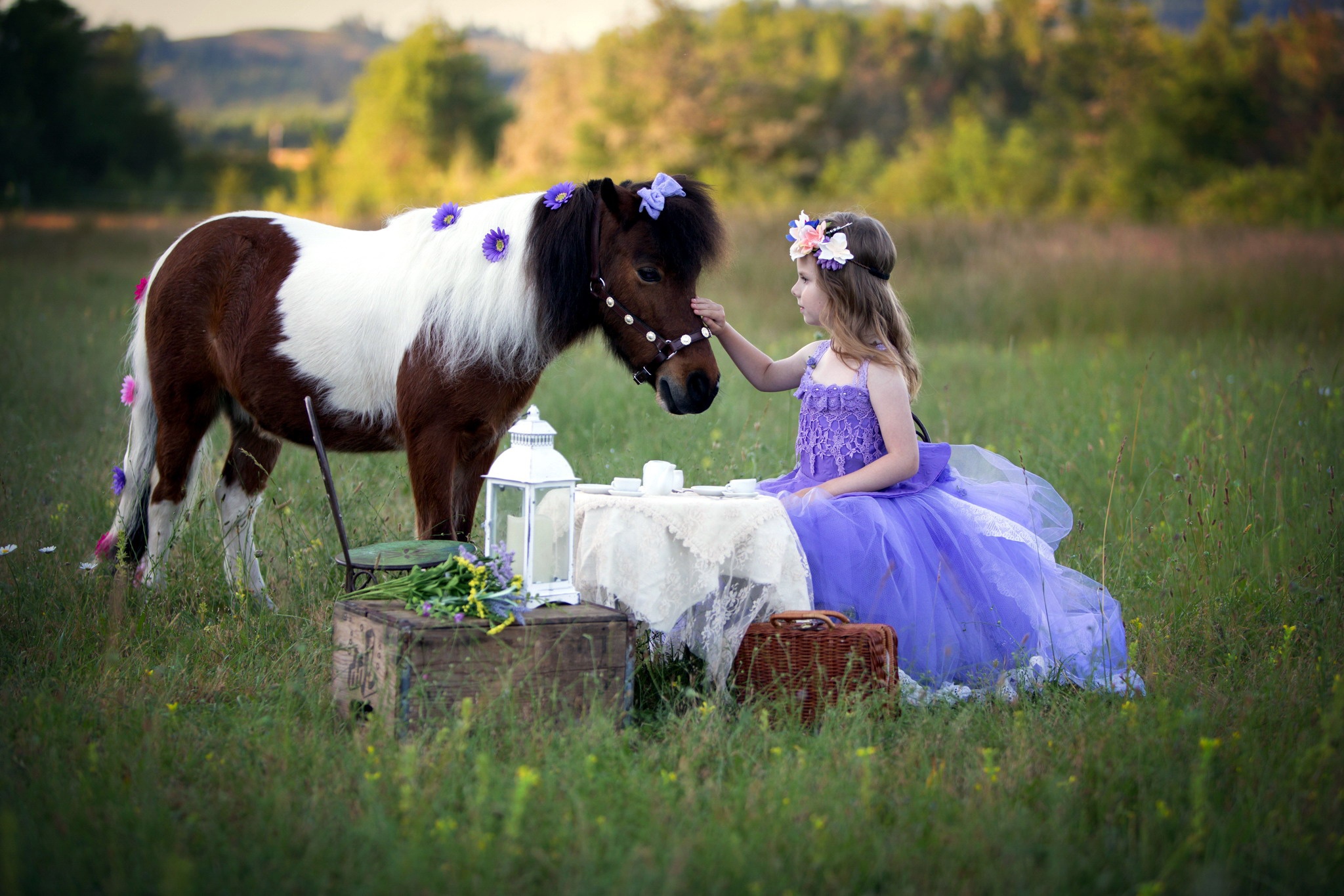 Девочка с лошадкой. Фотосессия с лошадьми. Детская фотосессия с лошадьми. Девочка и конь. Фотосессия с лошадьми дети.